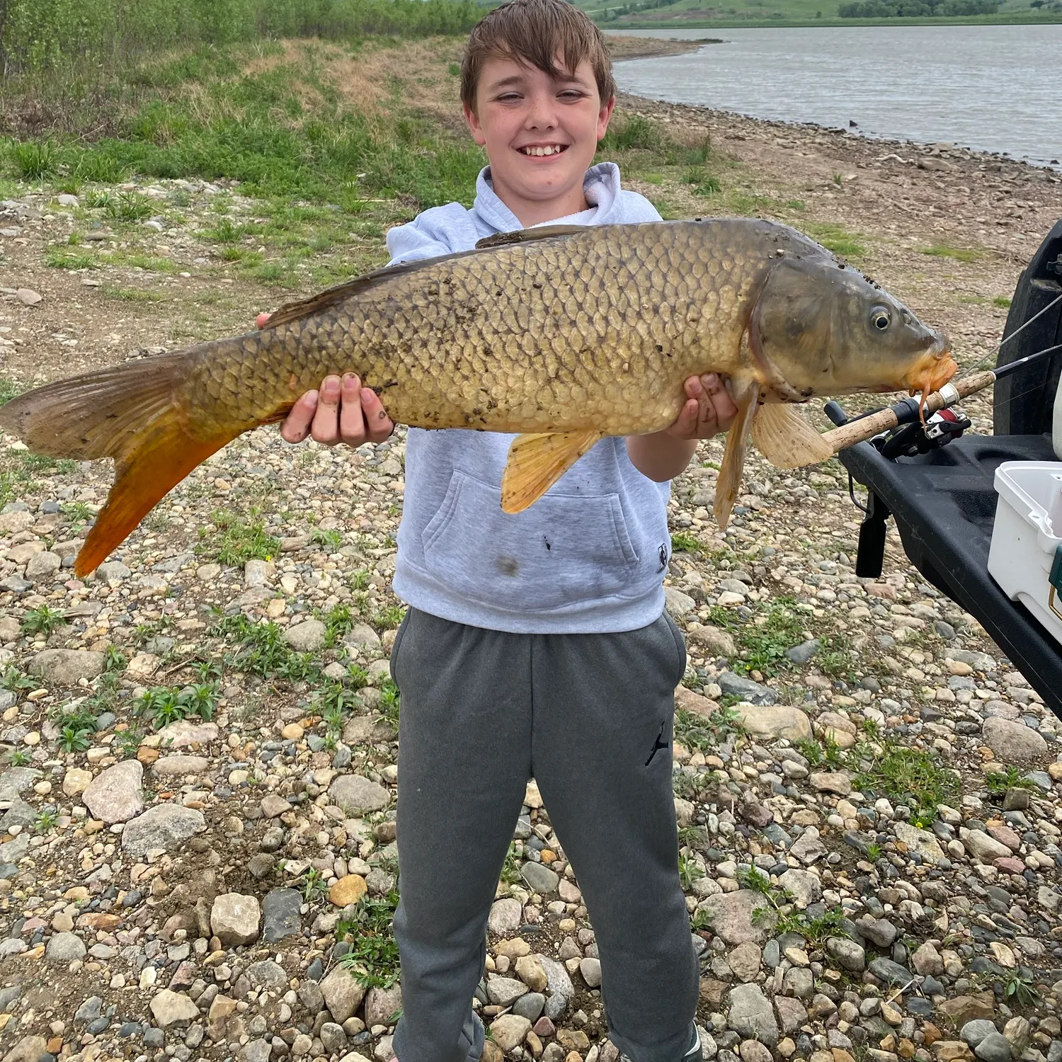 Common carp caught on Fishbrain
