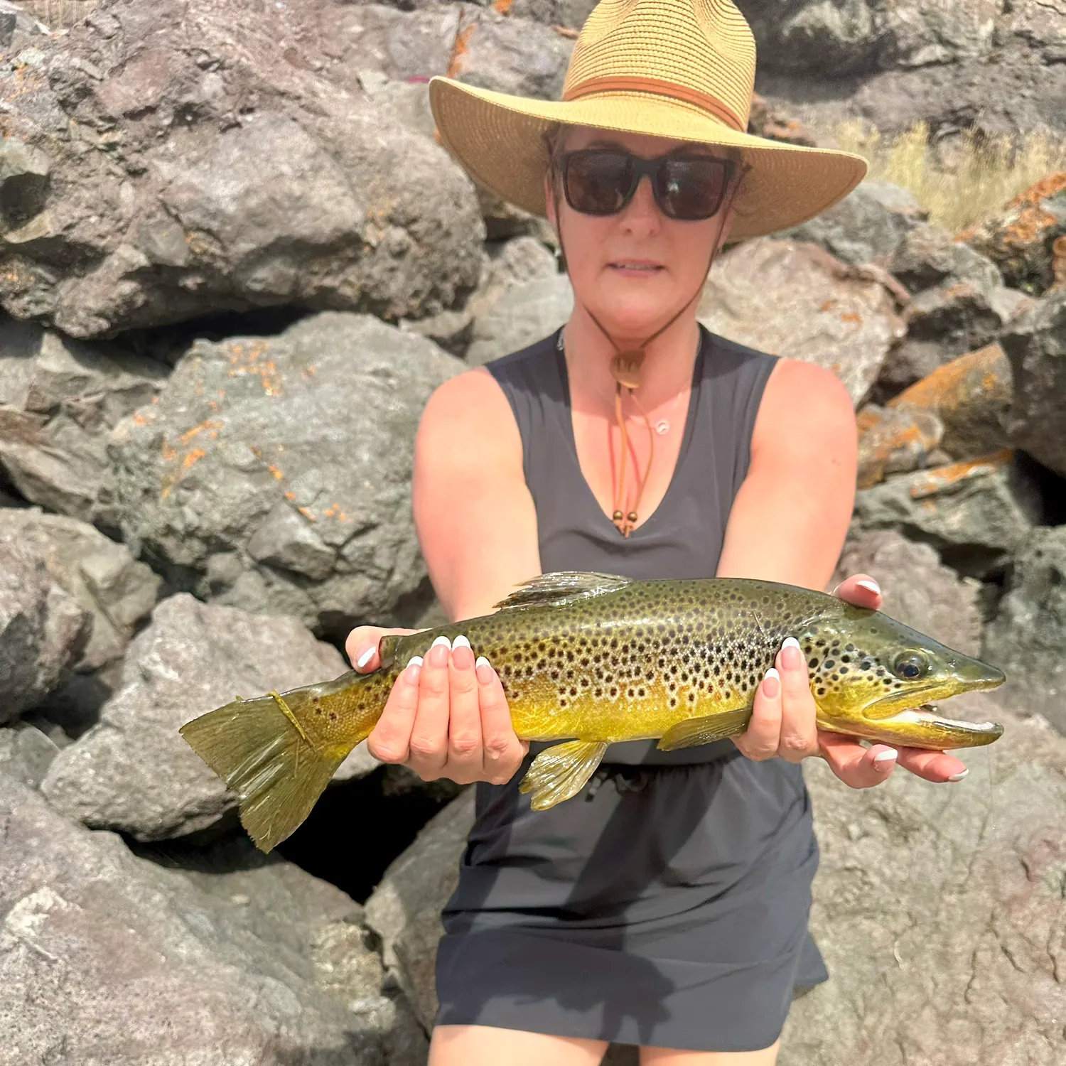 Brown trout caught on Fishbrain