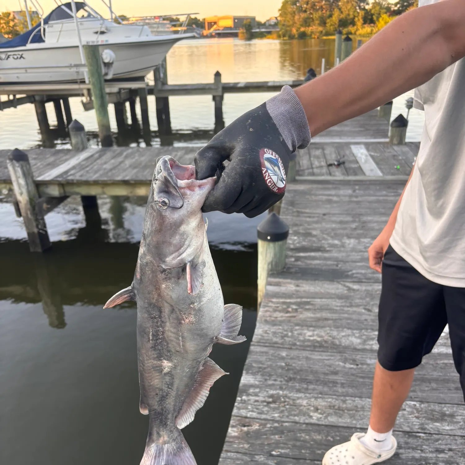 catch
