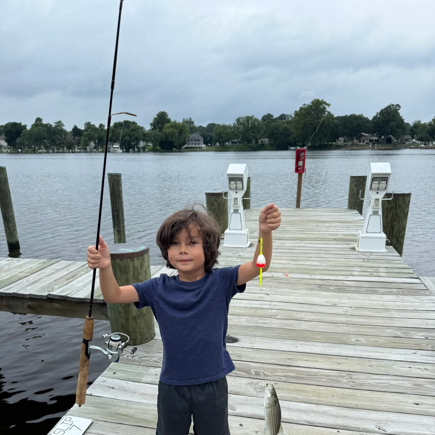 White perch caught on Fishbrain
