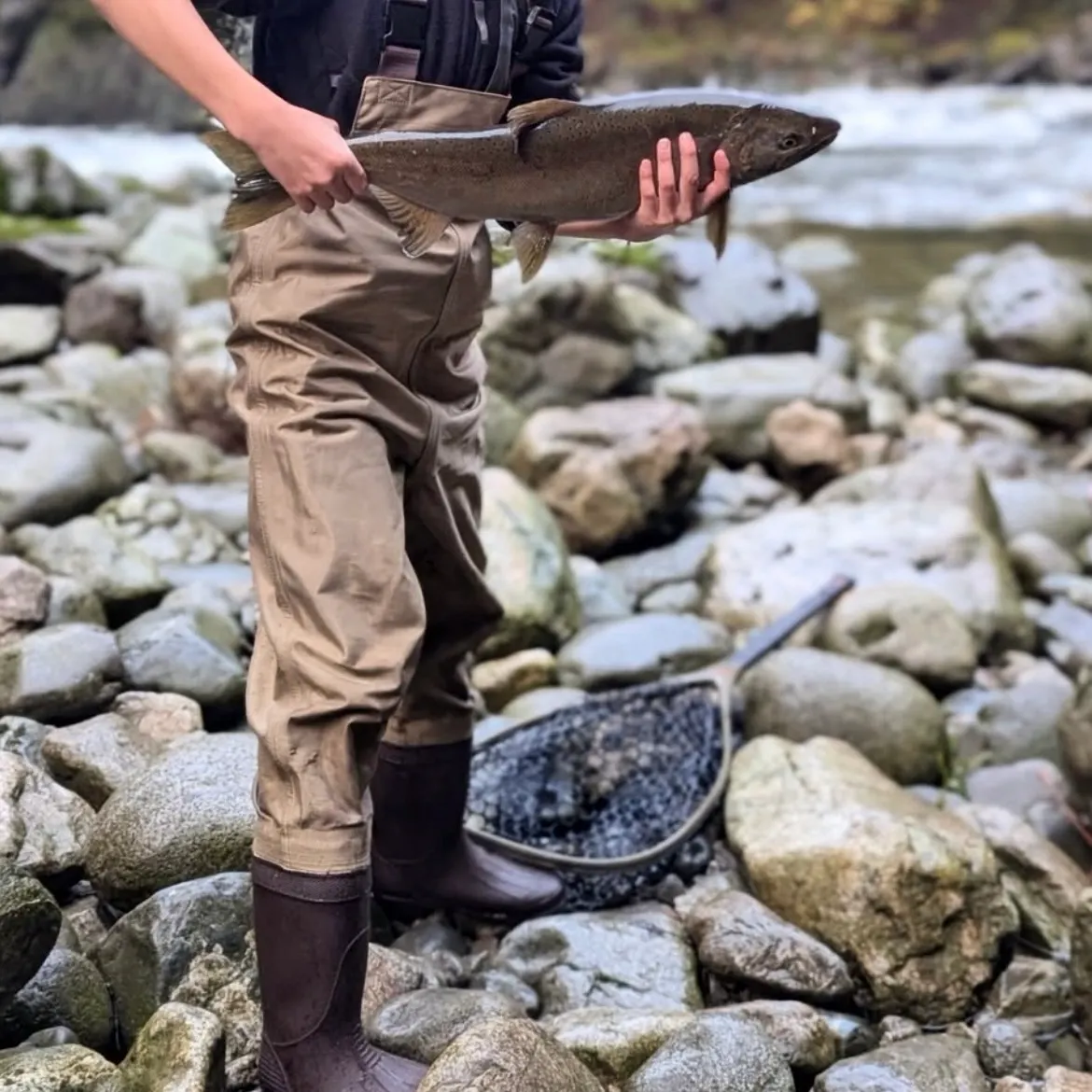Coho salmon caught on Fishbrain