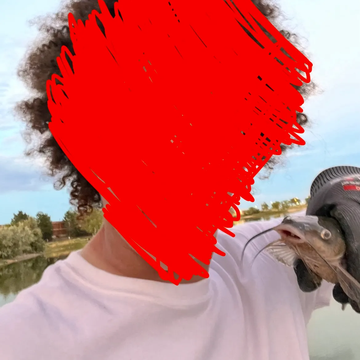 Channel catfish caught on Fishbrain