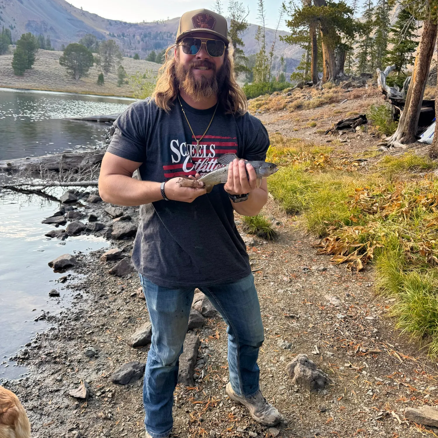 The most recent Arctic grayling catches on Fishbrain
