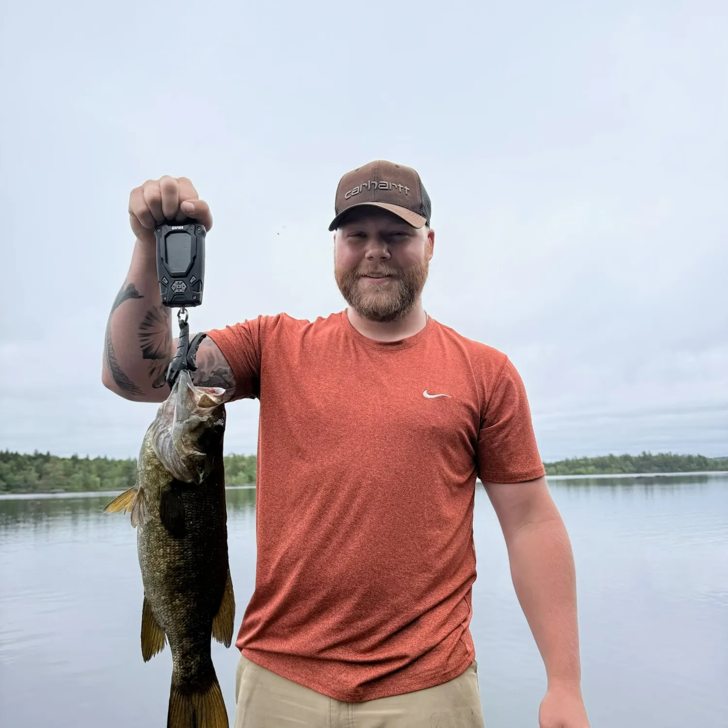 Smallmouth bass caught on Fishbrain