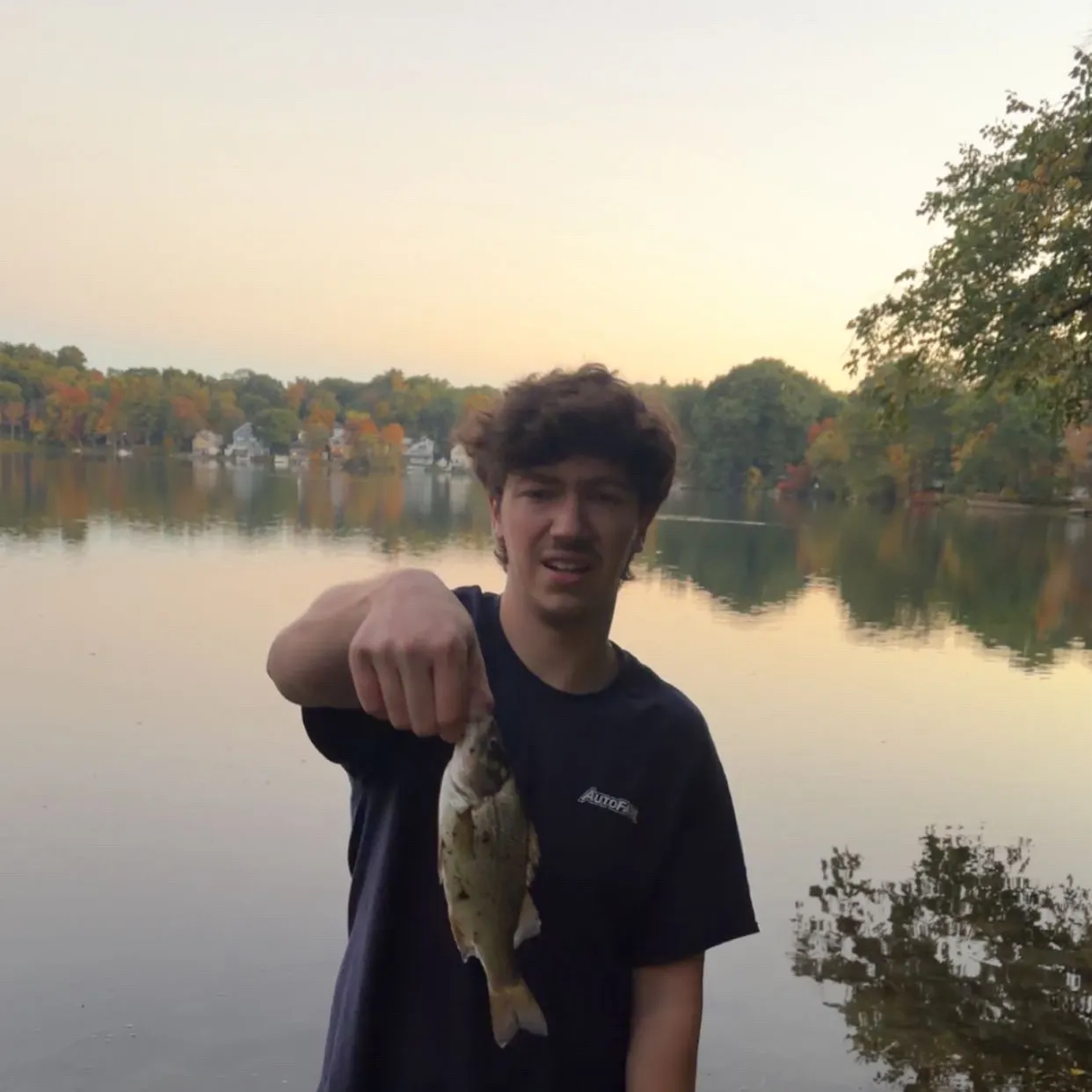 White perch caught on Fishbrain