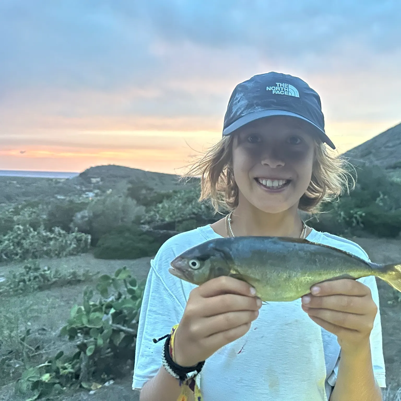 The most recent Southern yellowtail amberjack catches on Fishbrain