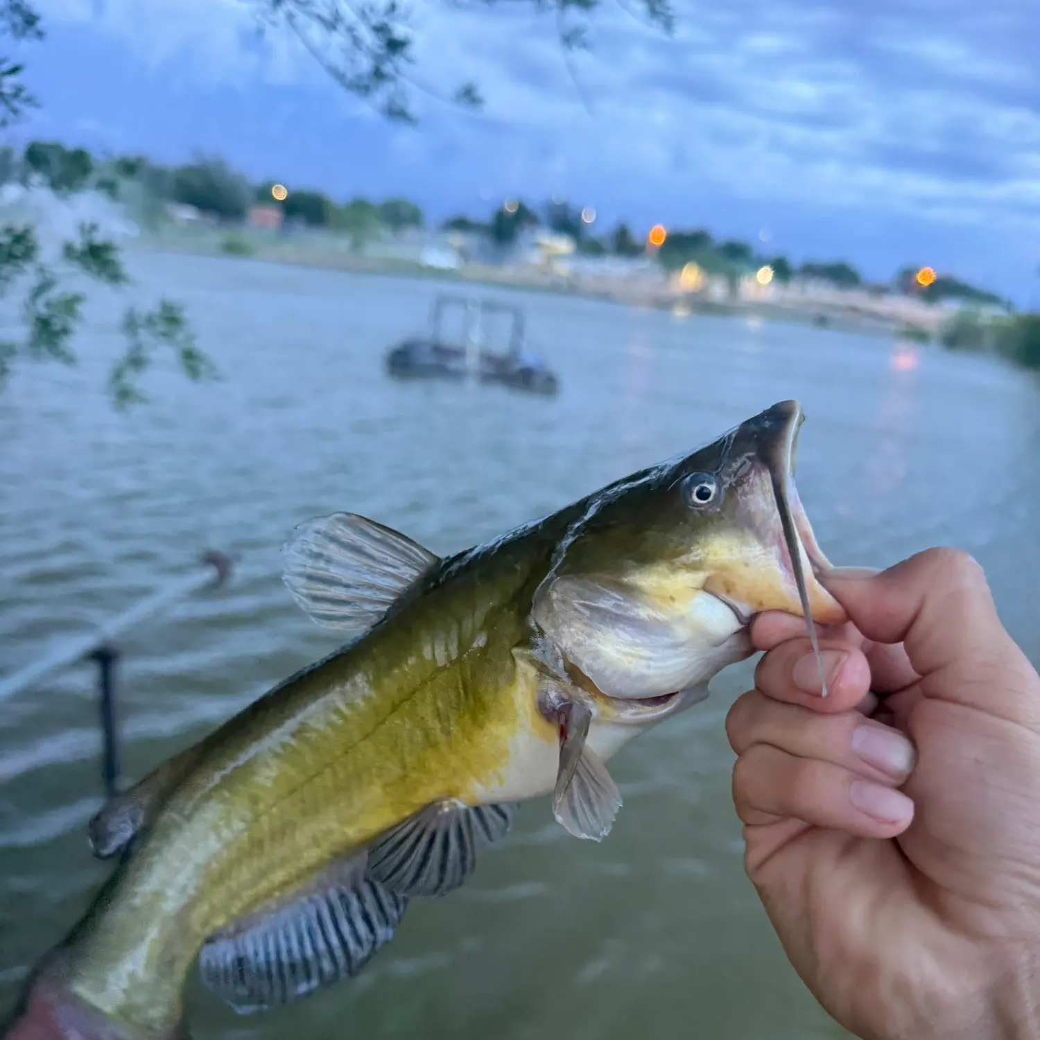 catch