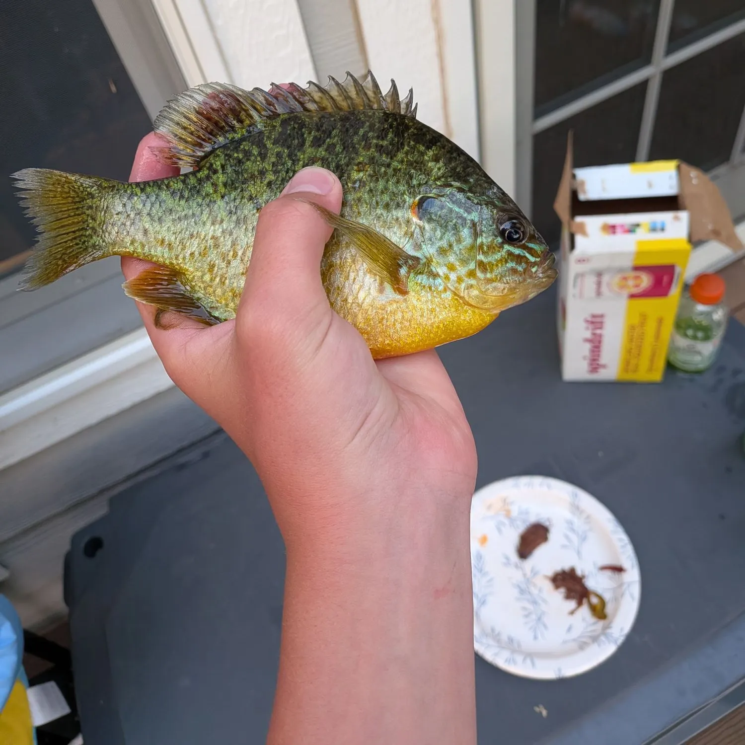 catch