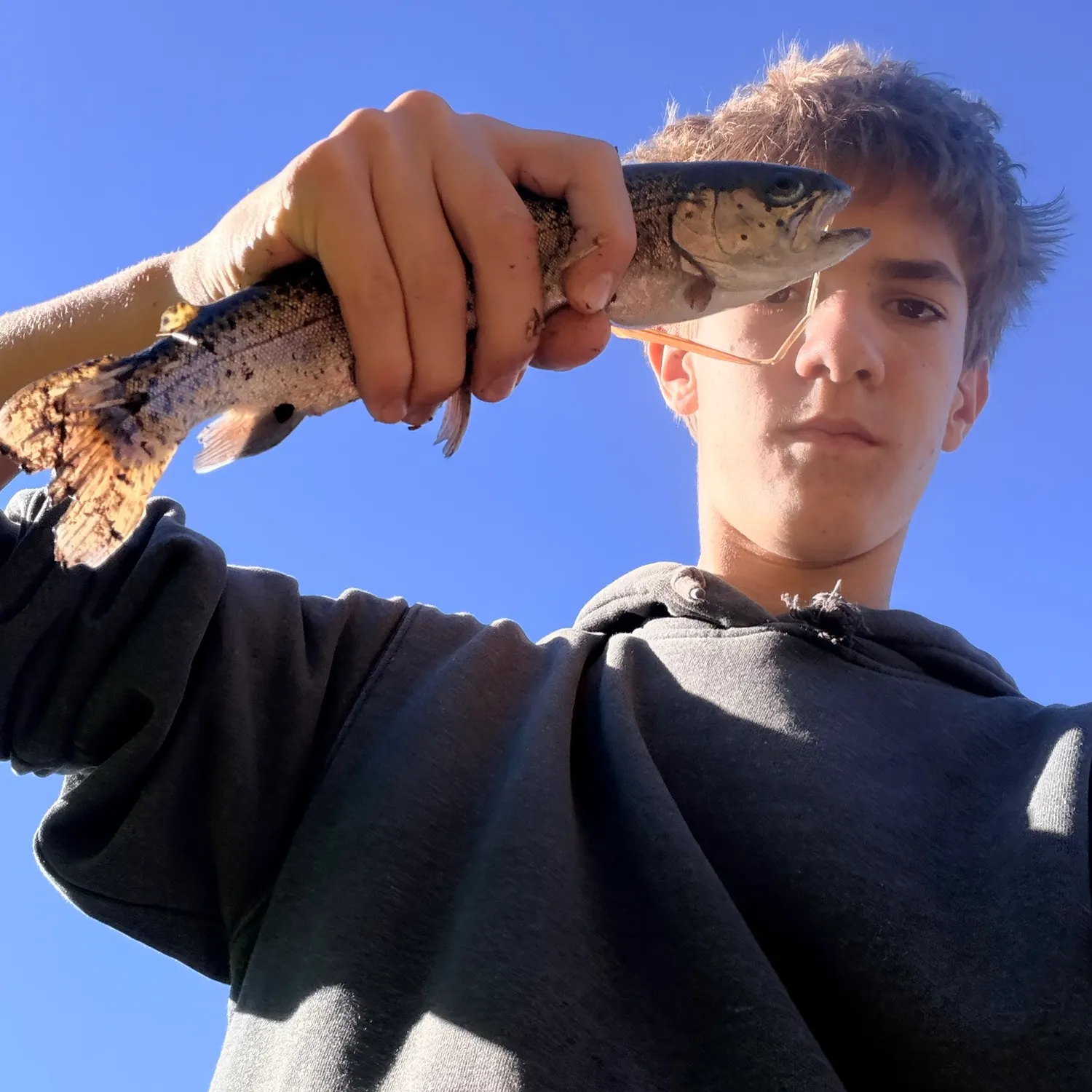 Fish caught on Fishbrain
