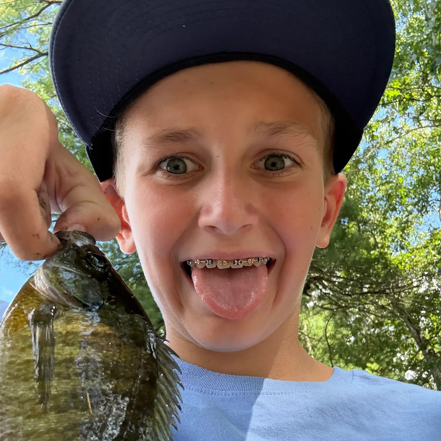 Bluegill caught on Fishbrain