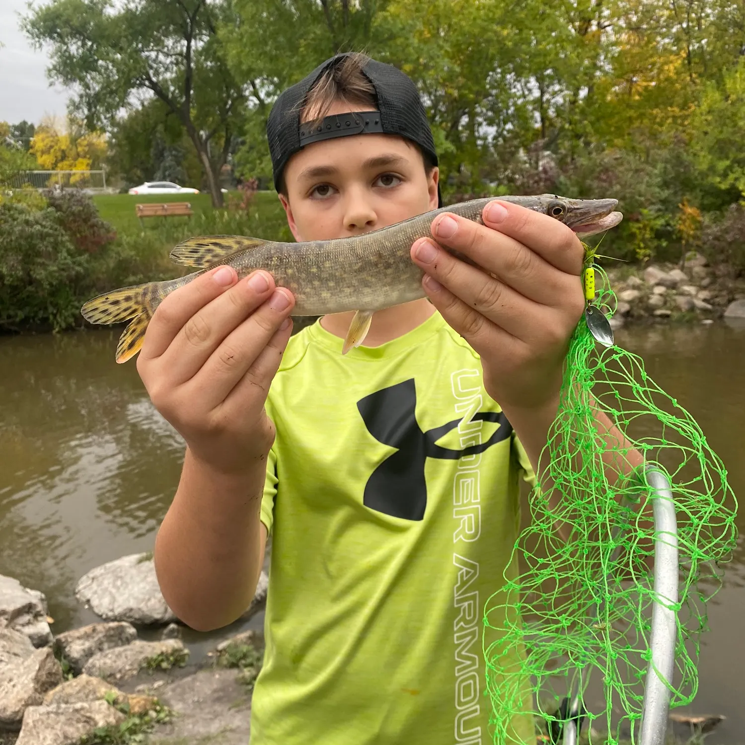 Northern pike caught on Fishbrain