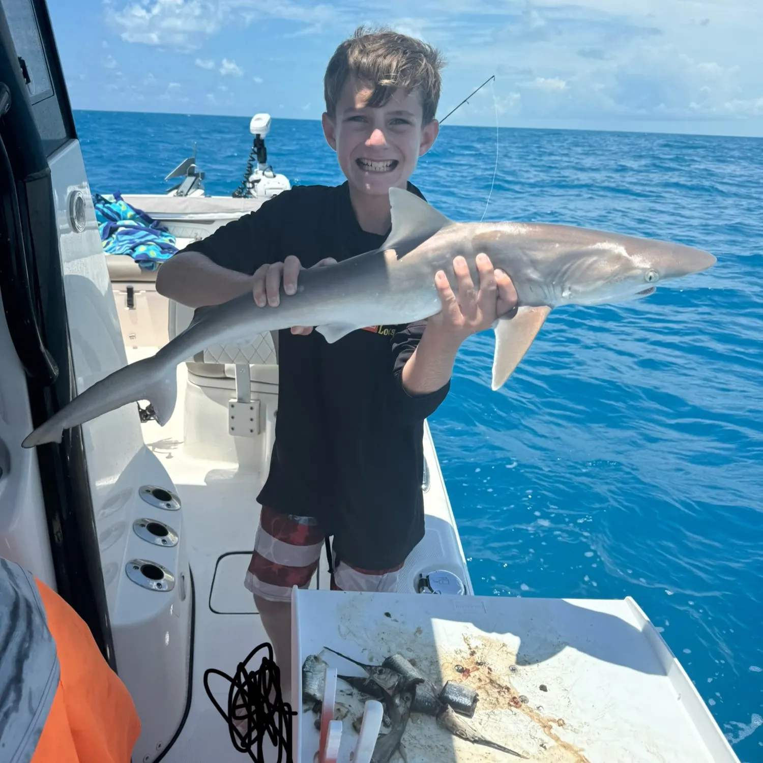 The most popular recent Atlantic sharpnose shark catch on Fishbrain