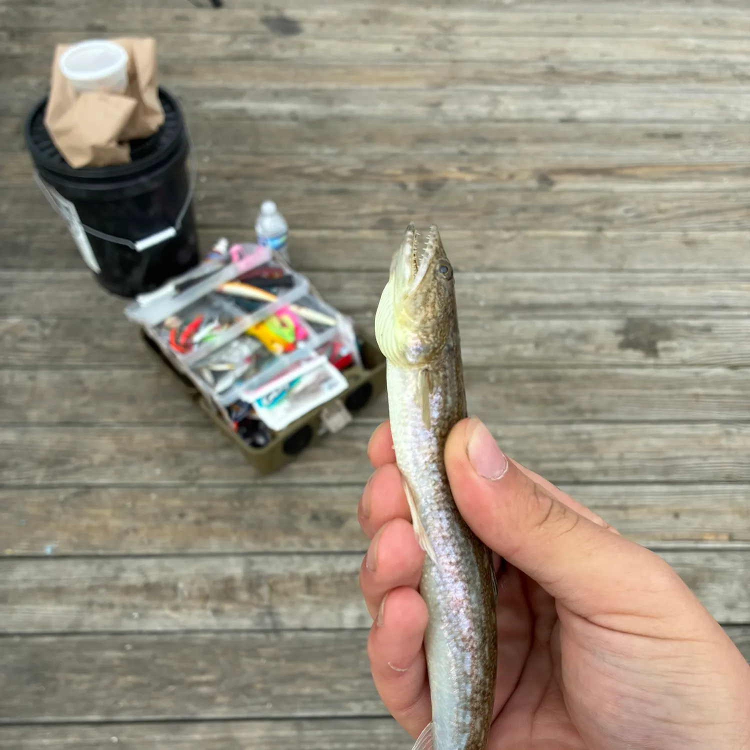 catch