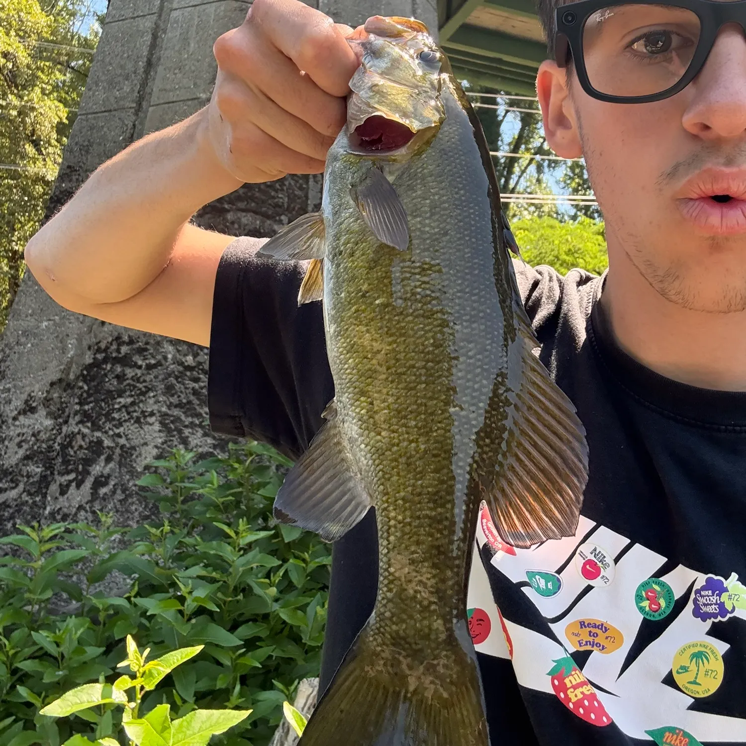 recently logged catches