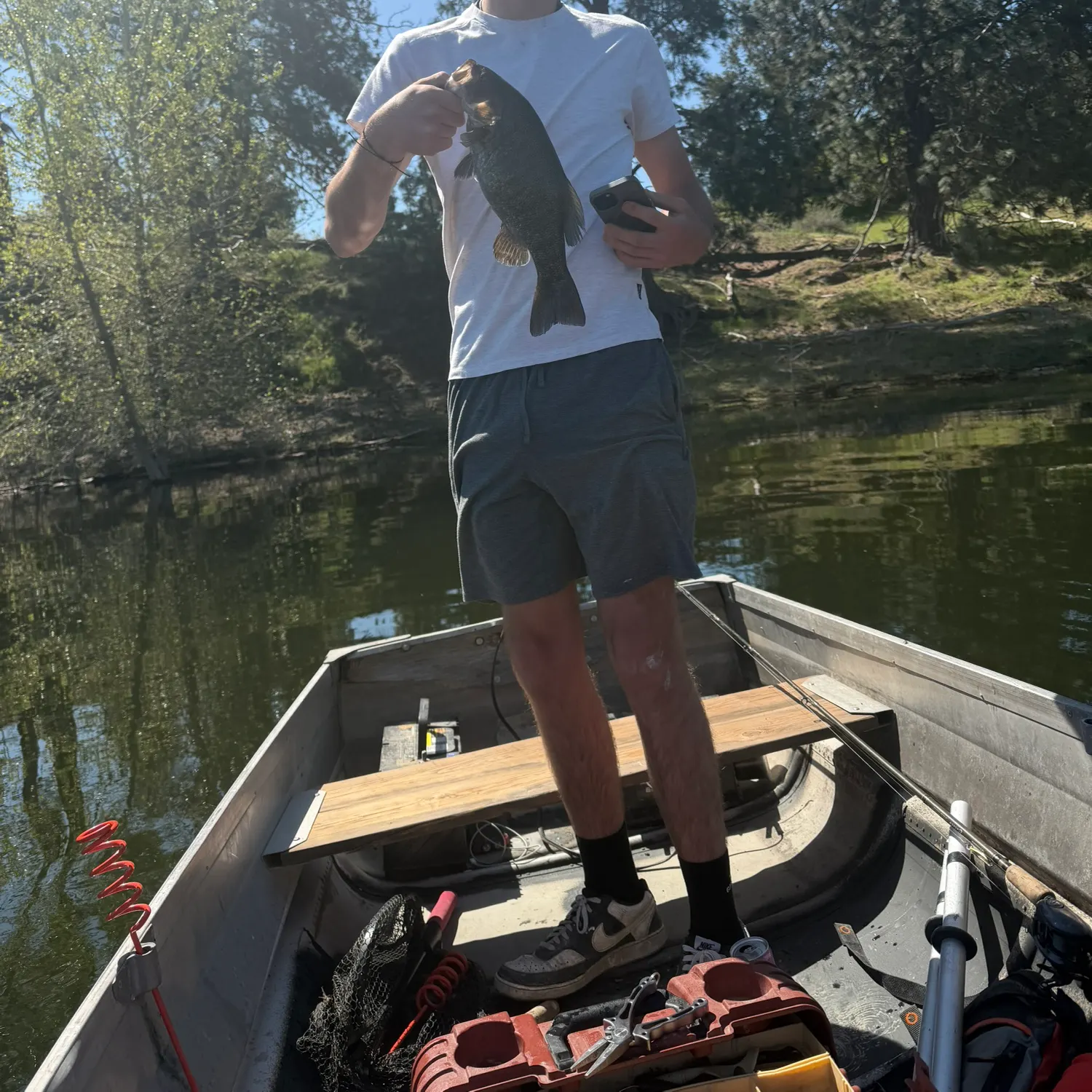 Smallmouth bass caught on Fishbrain