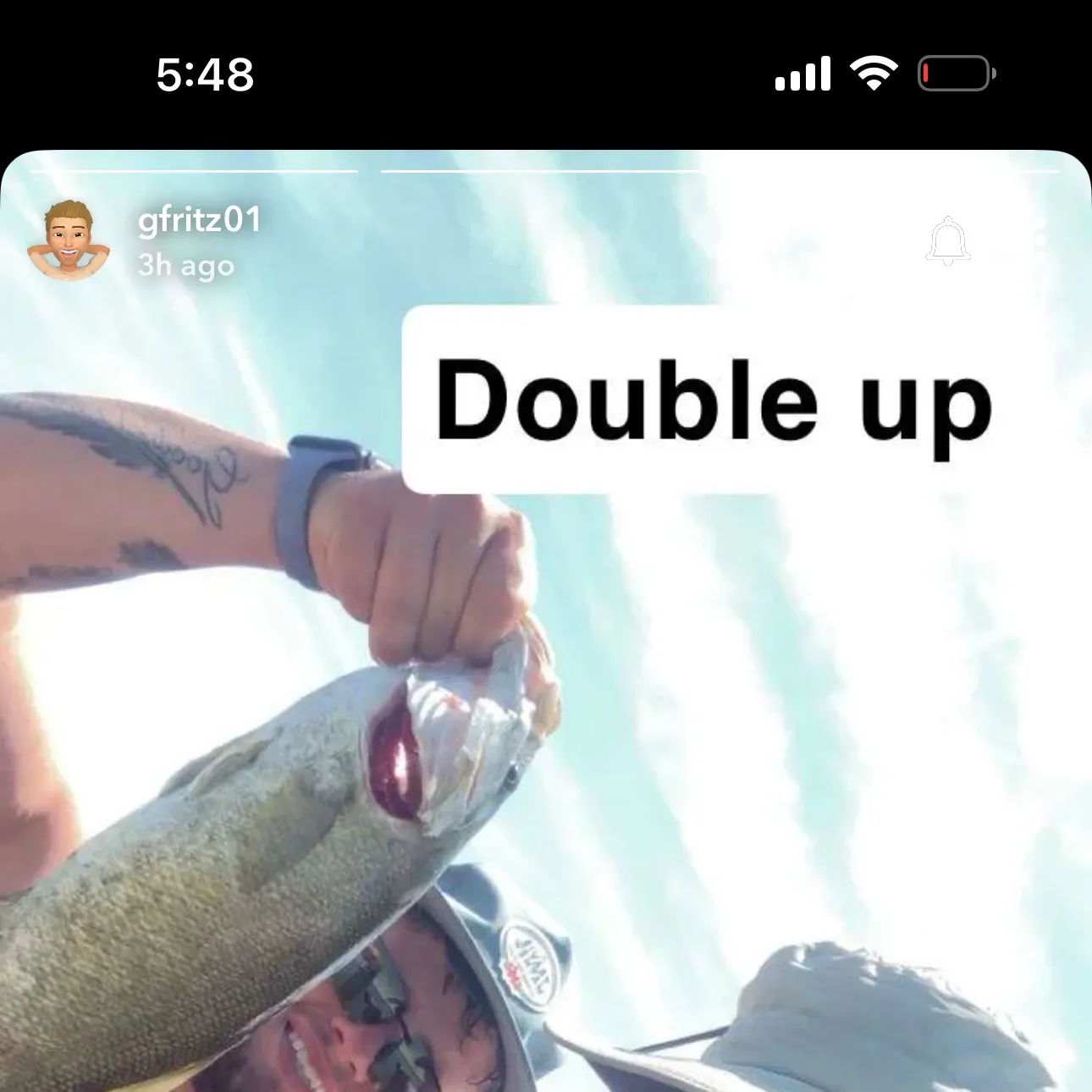 recently logged catches