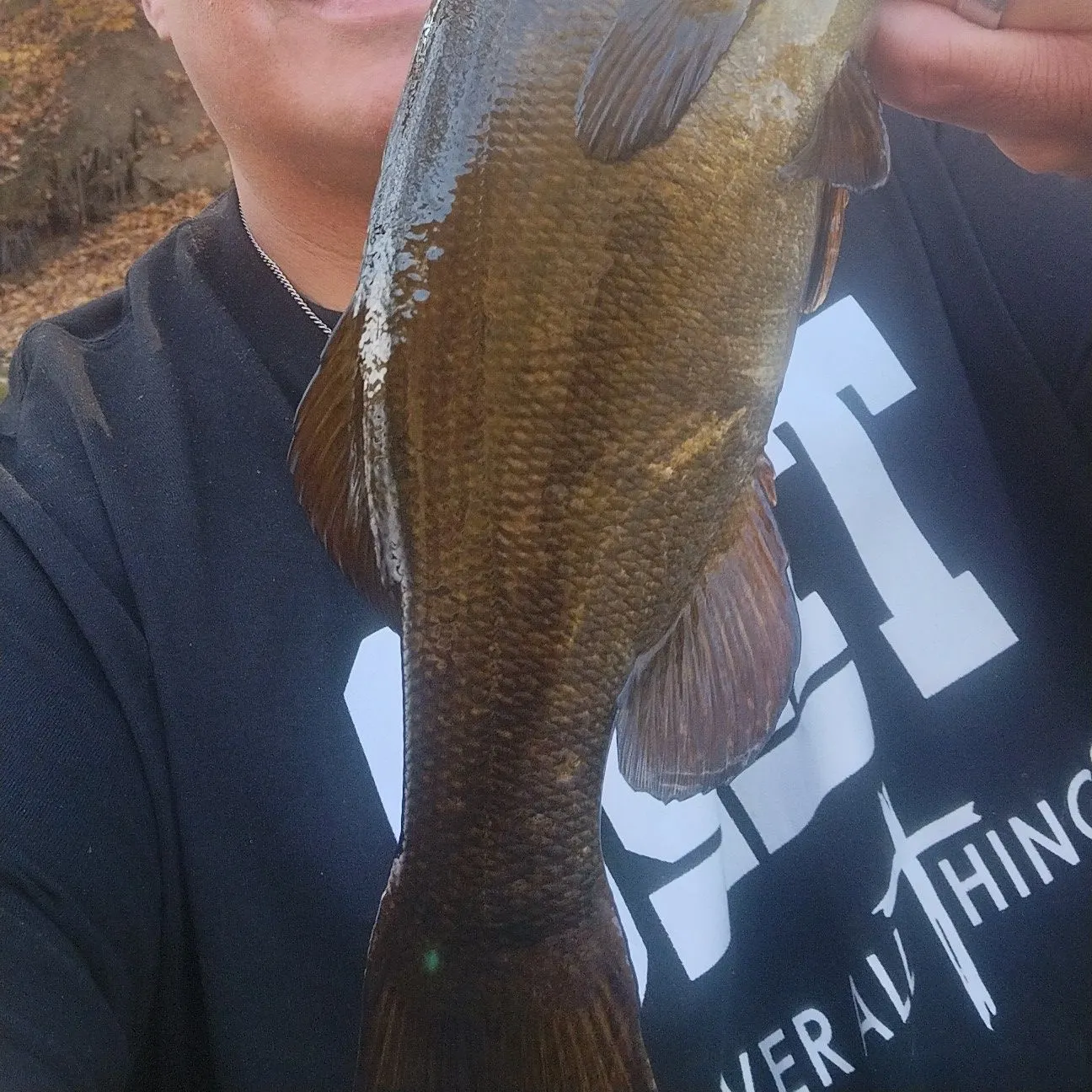 The most recent Smallmouth bass catches on Fishbrain