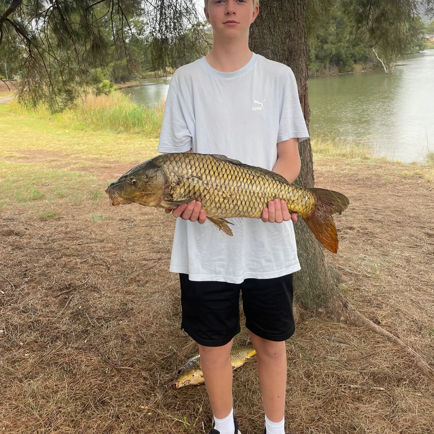 The most recent Common carp catches on Fishbrain