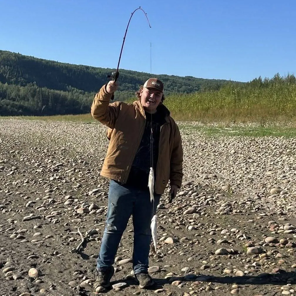 The most recent Mountain whitefish catches on Fishbrain
