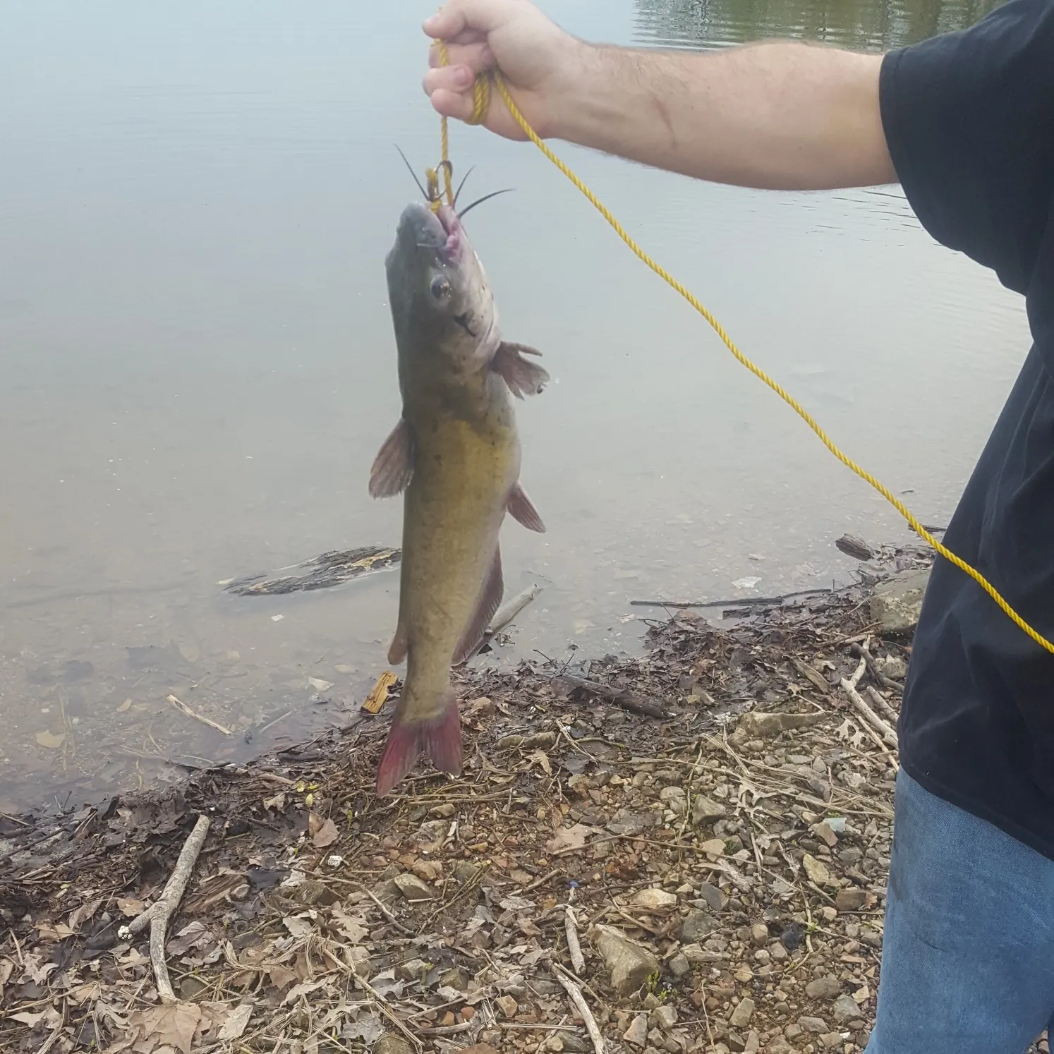 angler catch