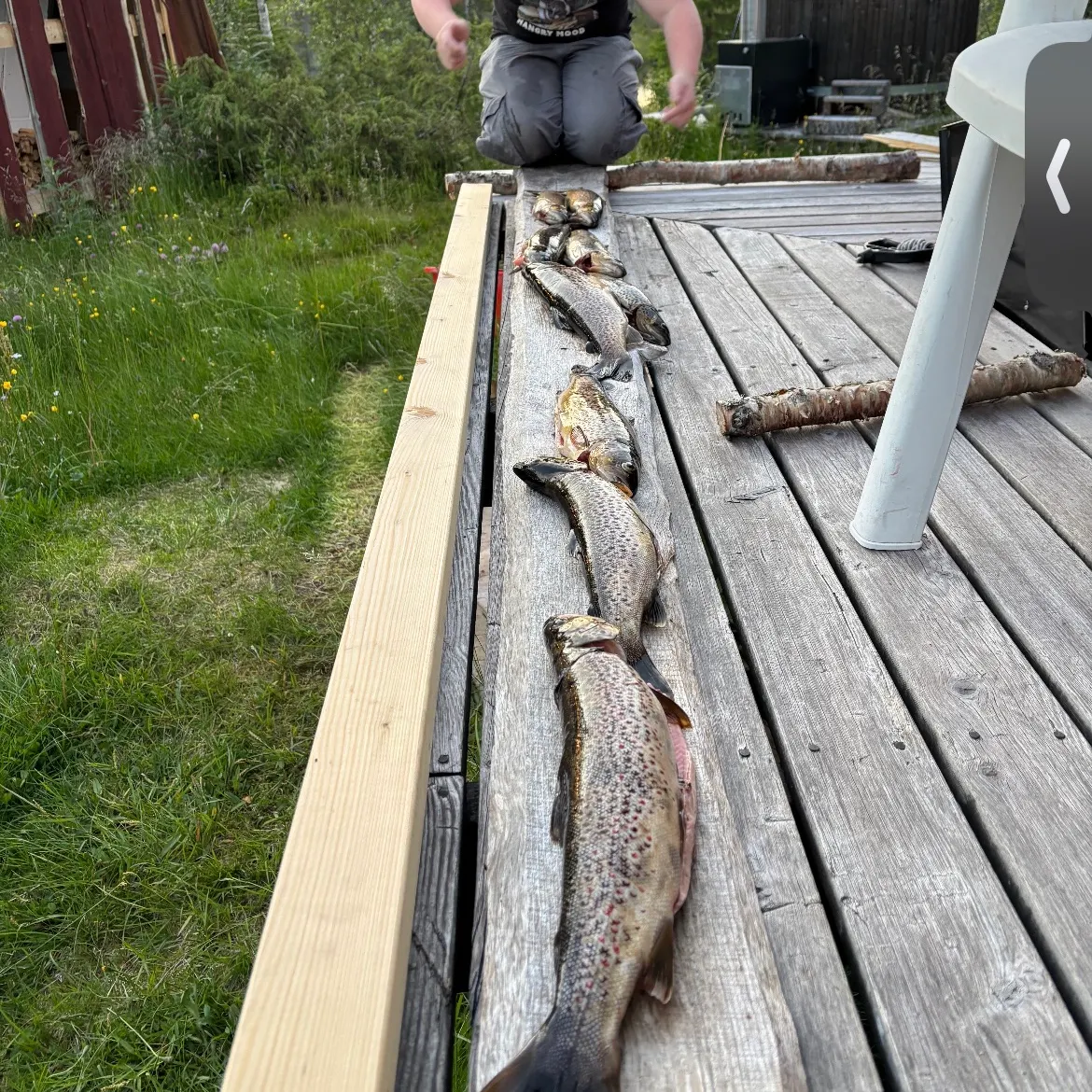 recently logged catches