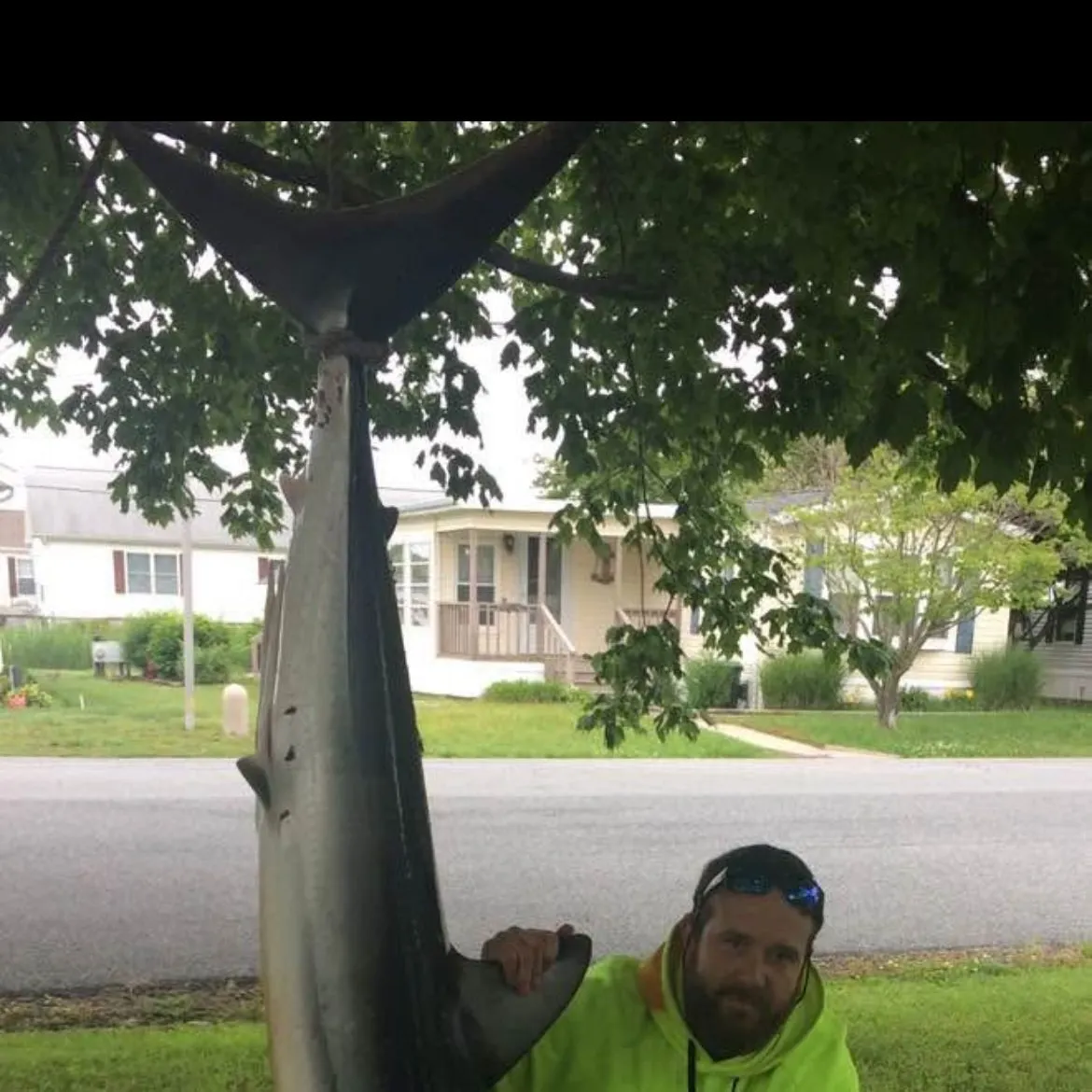 The most recent Longfin mako shark catches on Fishbrain