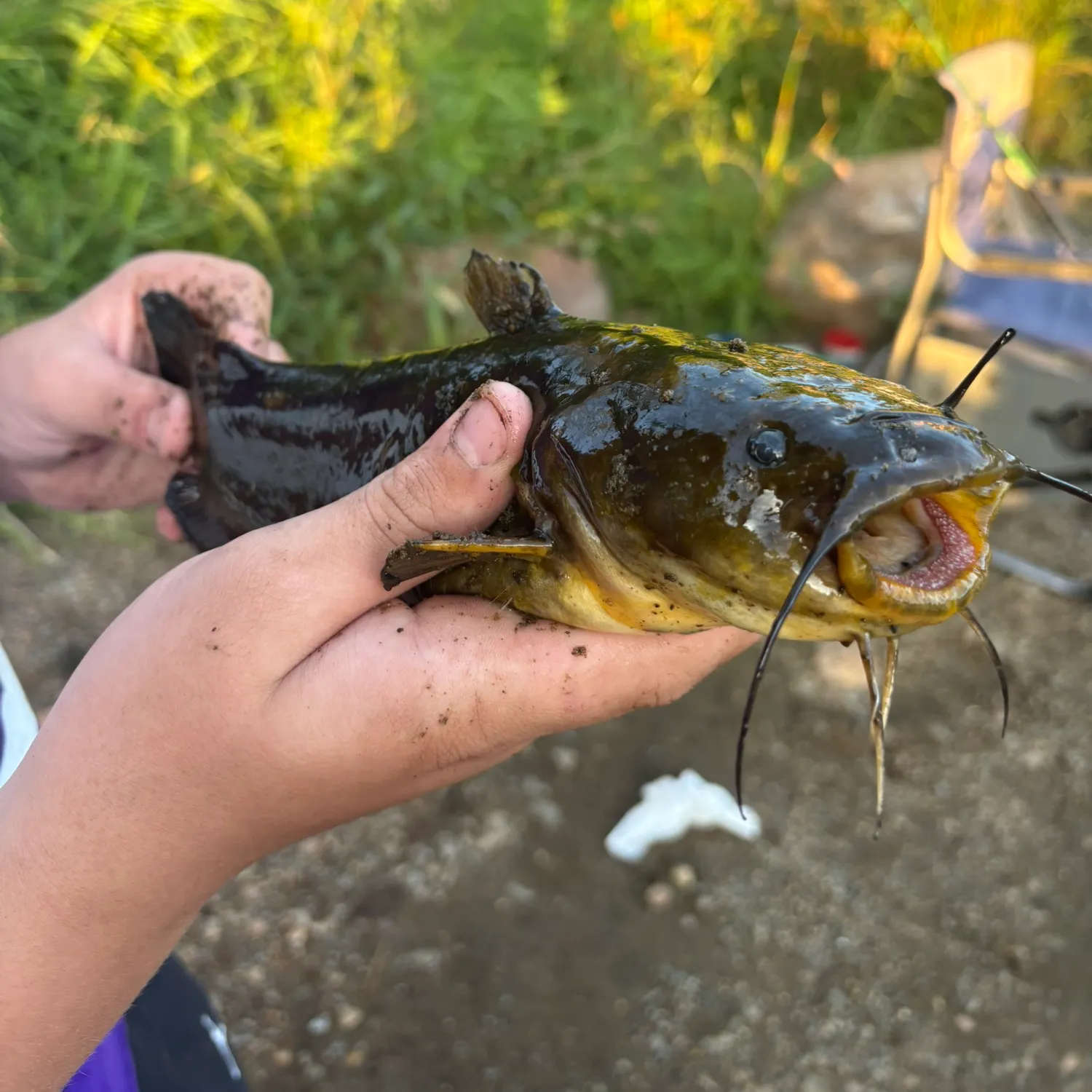 catch