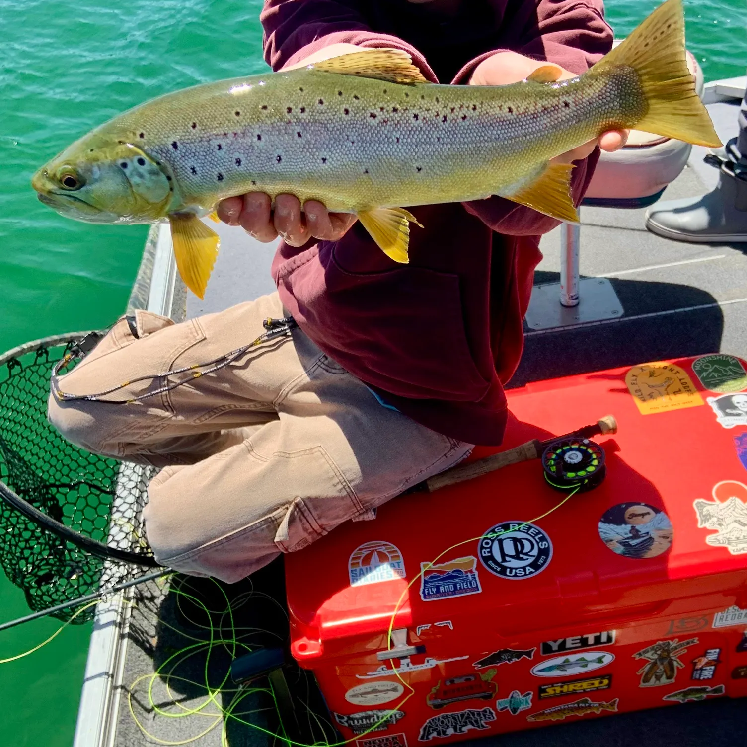 recently logged catches