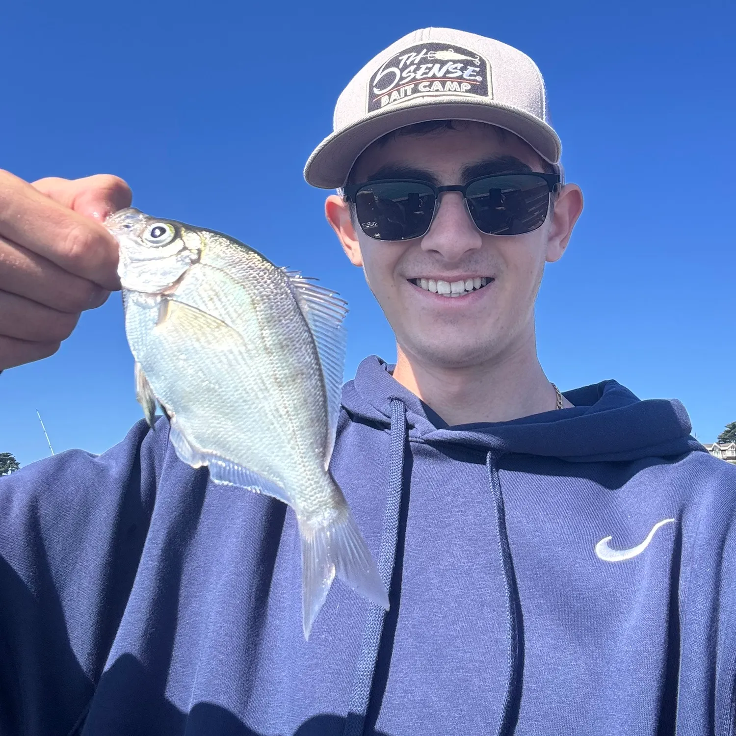 The most recent Walleye surfperch catches on Fishbrain