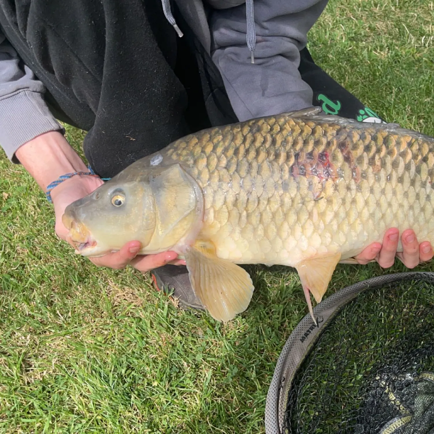 angler catch