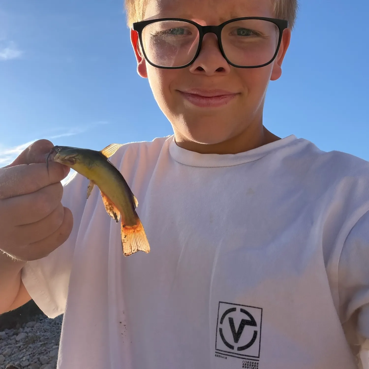 Fish caught on Fishbrain
