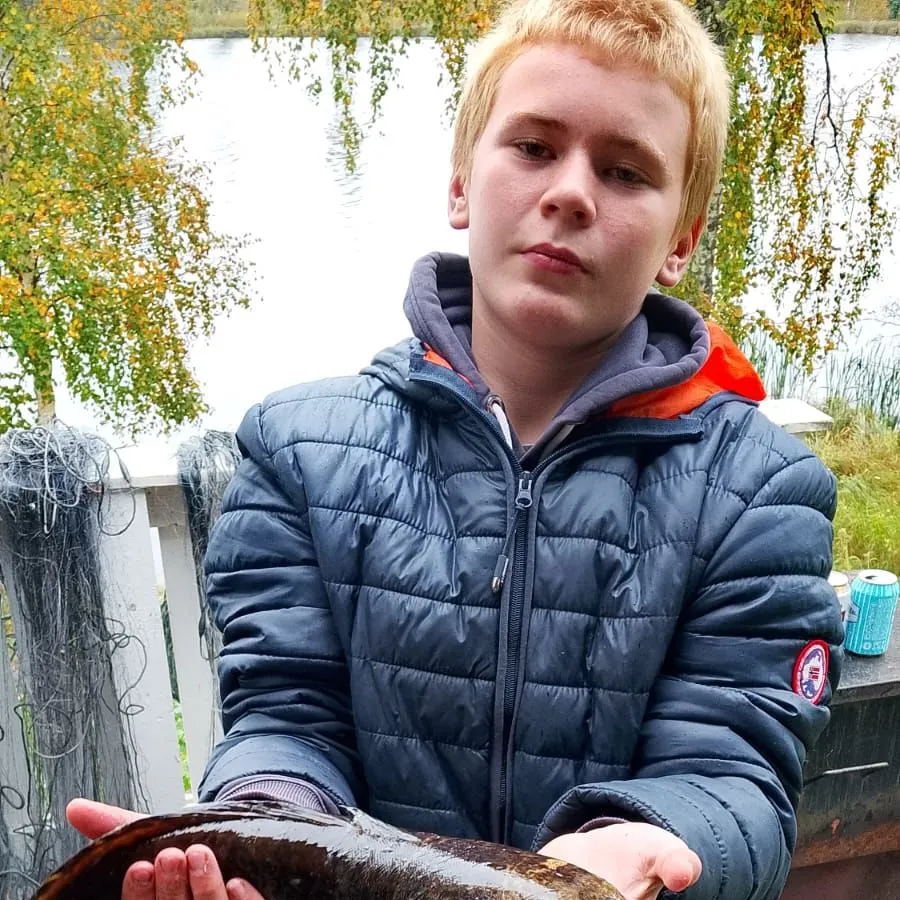 Burbot caught on Fishbrain