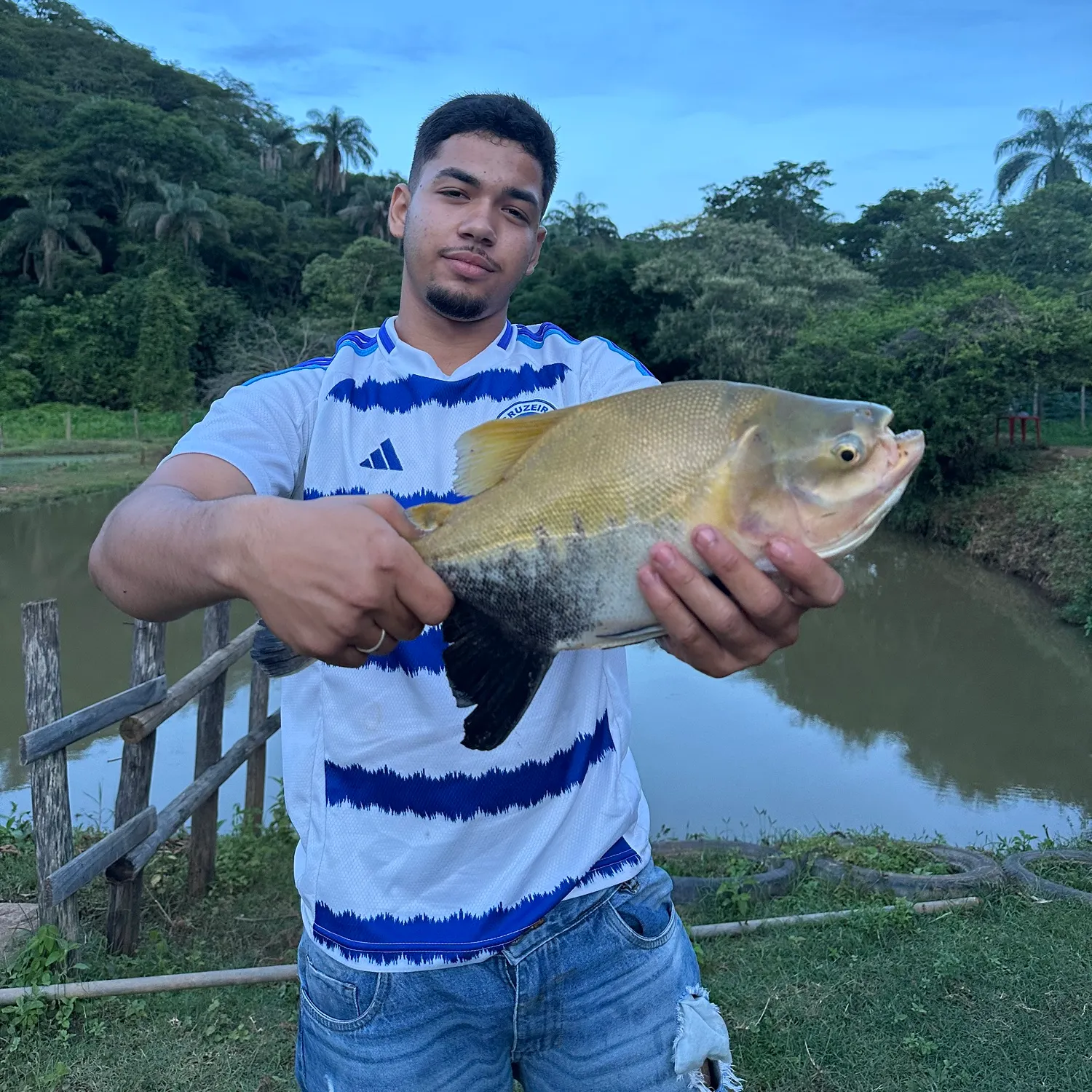 Black pacu caught on Fishbrain