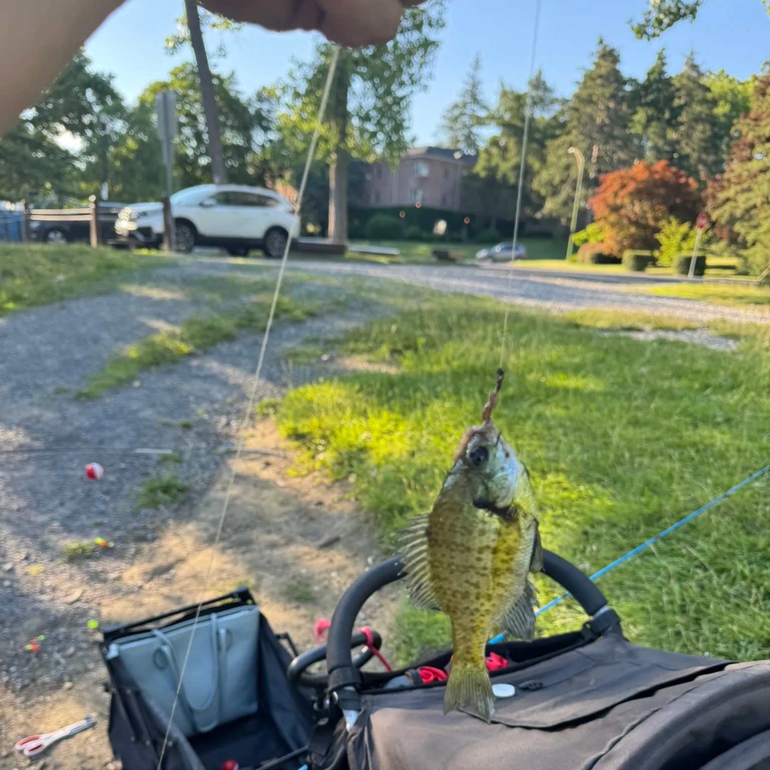 catch