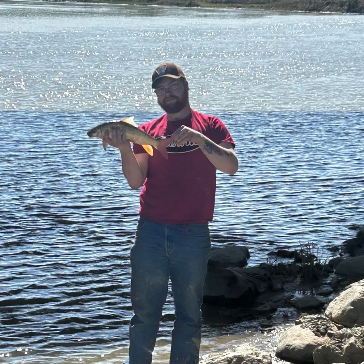 The most recent River redhorse catches on Fishbrain