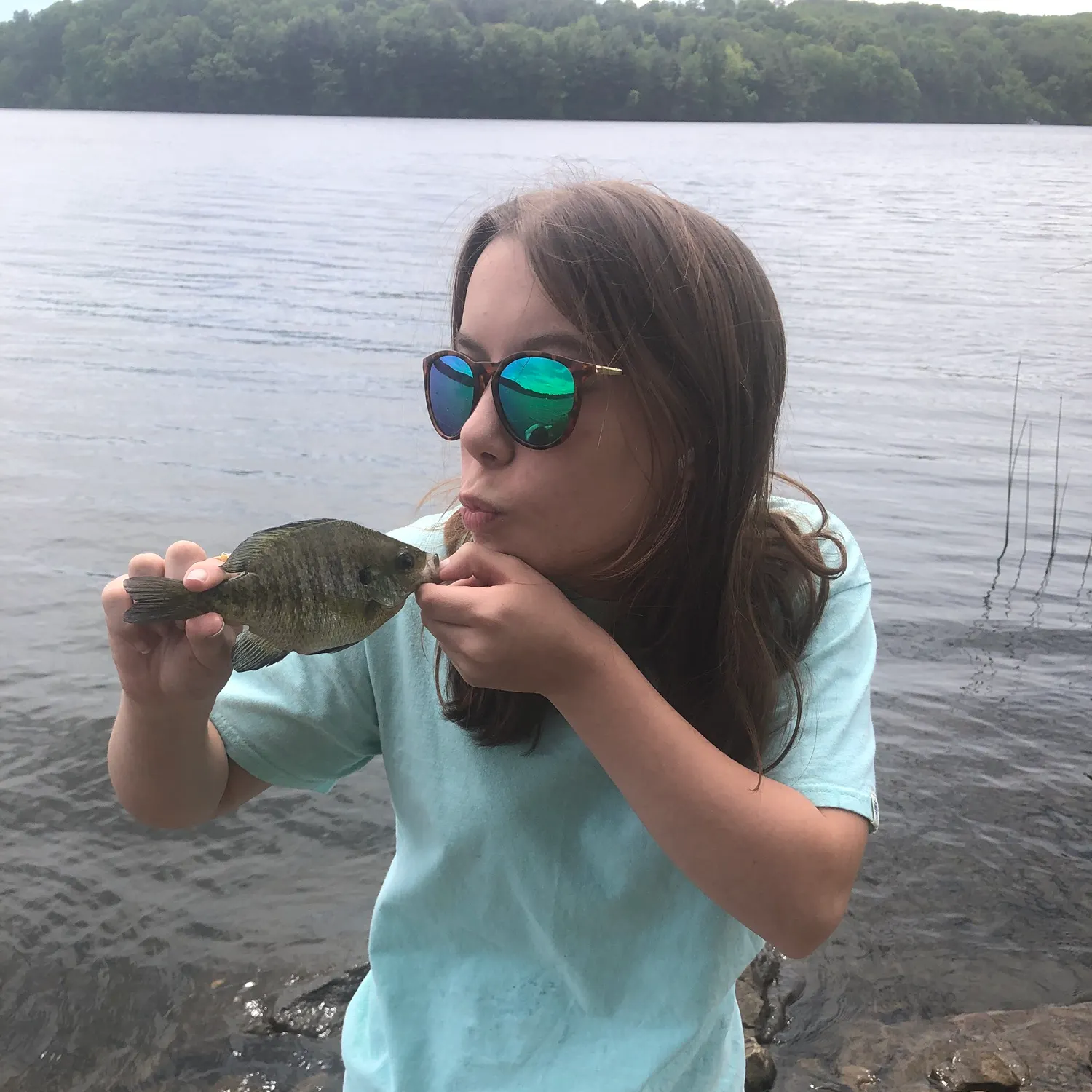 The most recent Bluegill catches on Fishbrain