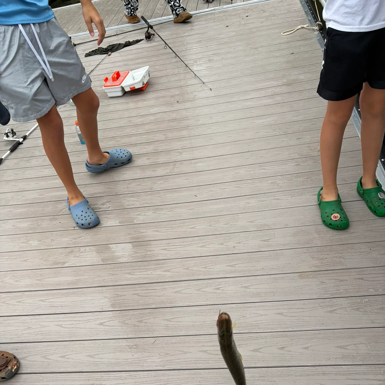 Northern pike caught on Fishbrain