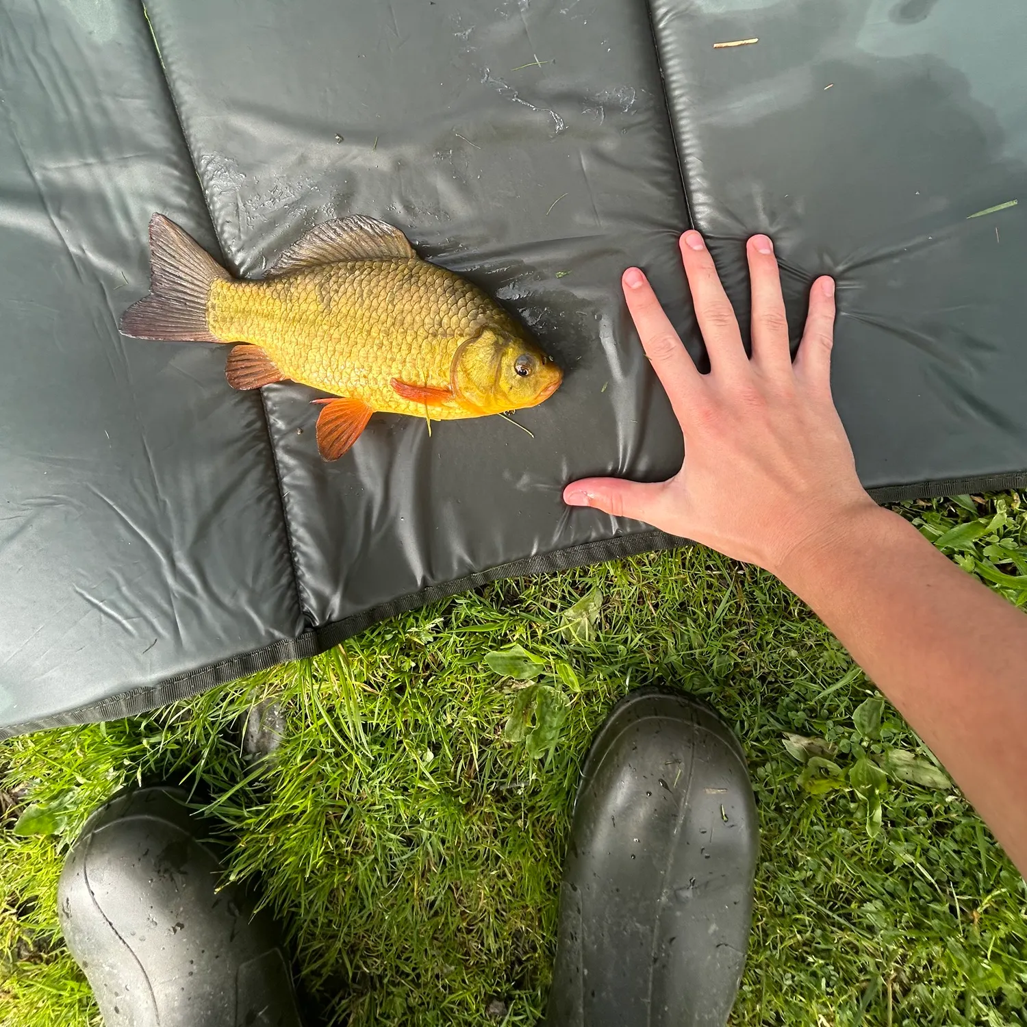 most liked catch image