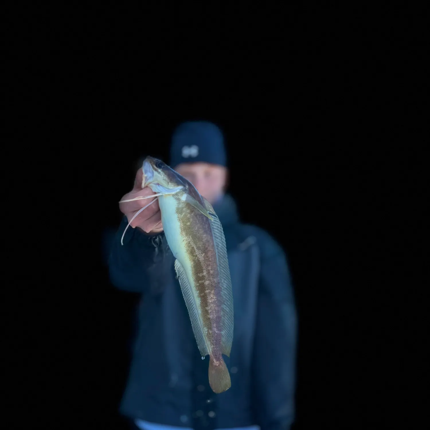 The most recent Red hake catches on Fishbrain