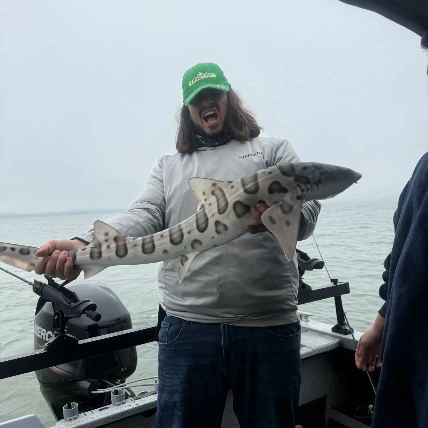 The most recent Leopard shark catches on Fishbrain