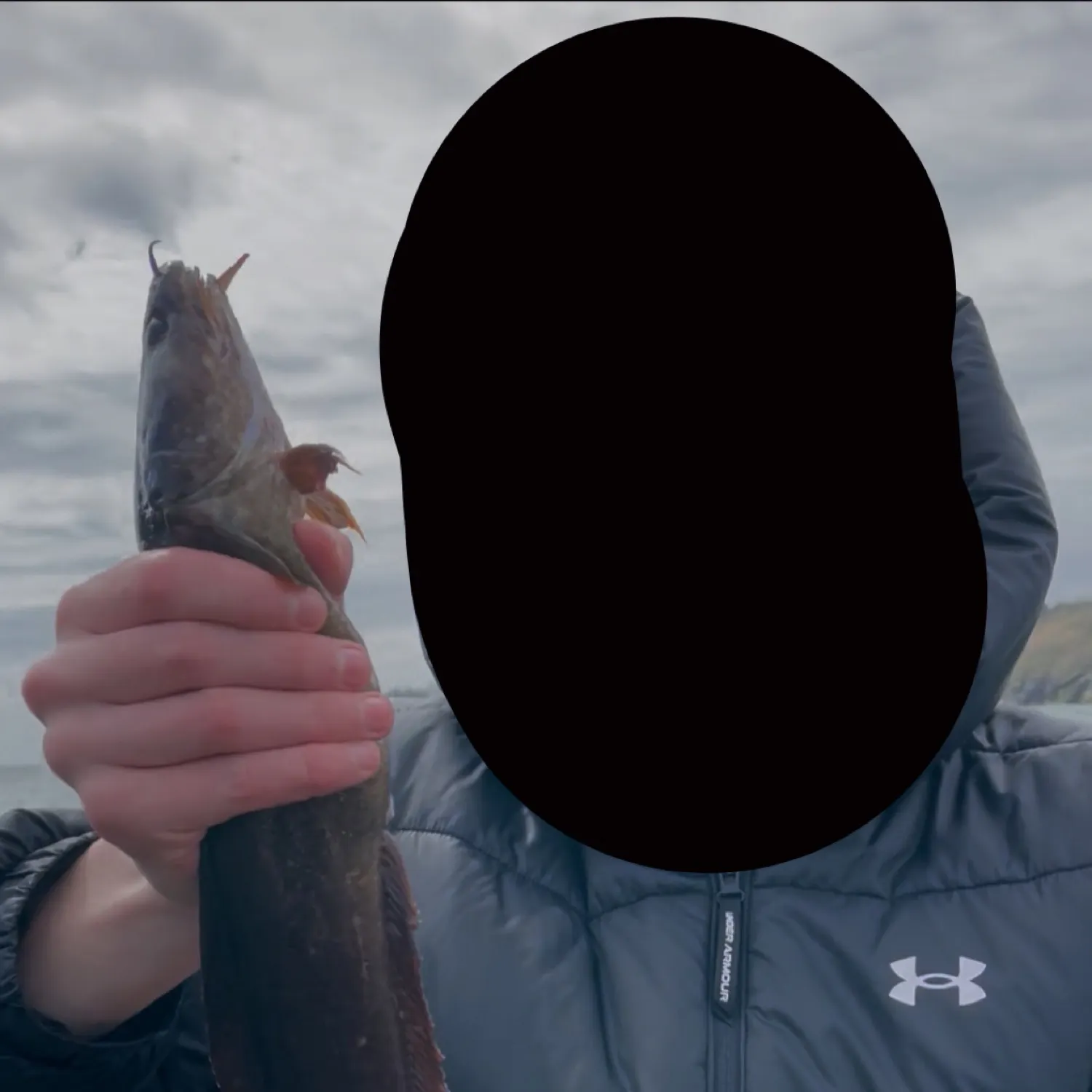 The most popular recent Fourbeard rockling catch on Fishbrain