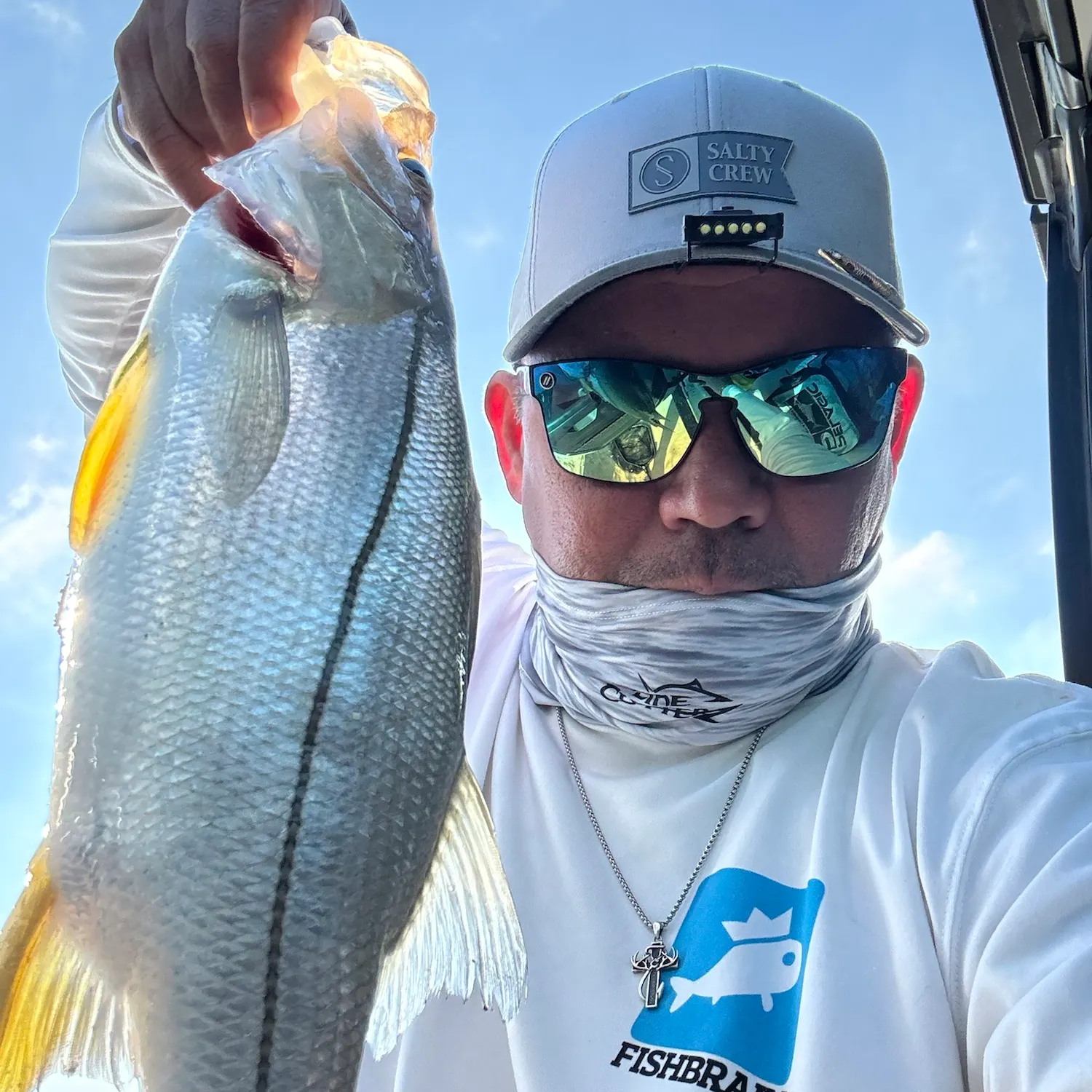 Common snook caught on Fishbrain
