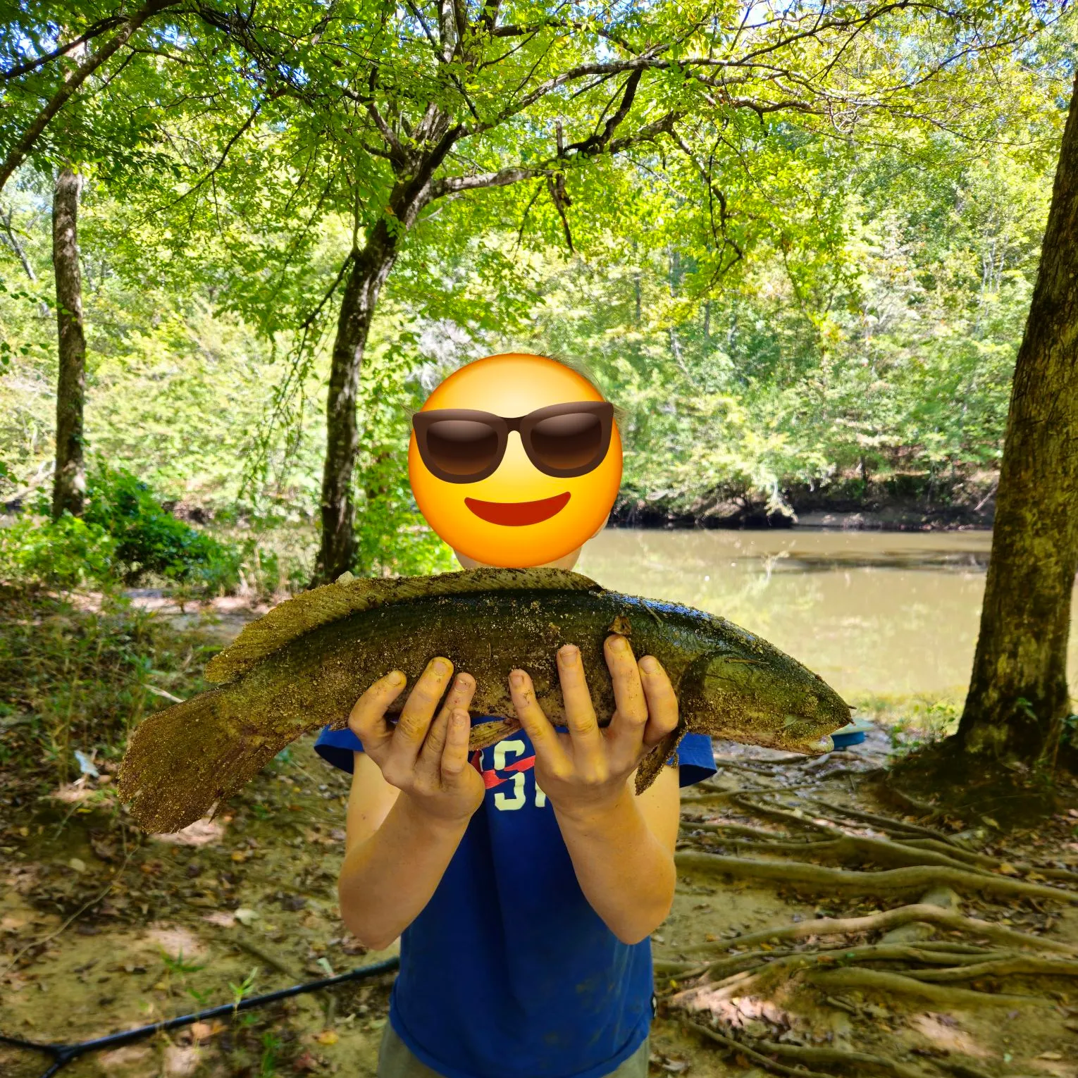 Ruddy bowfin caught on Fishbrain