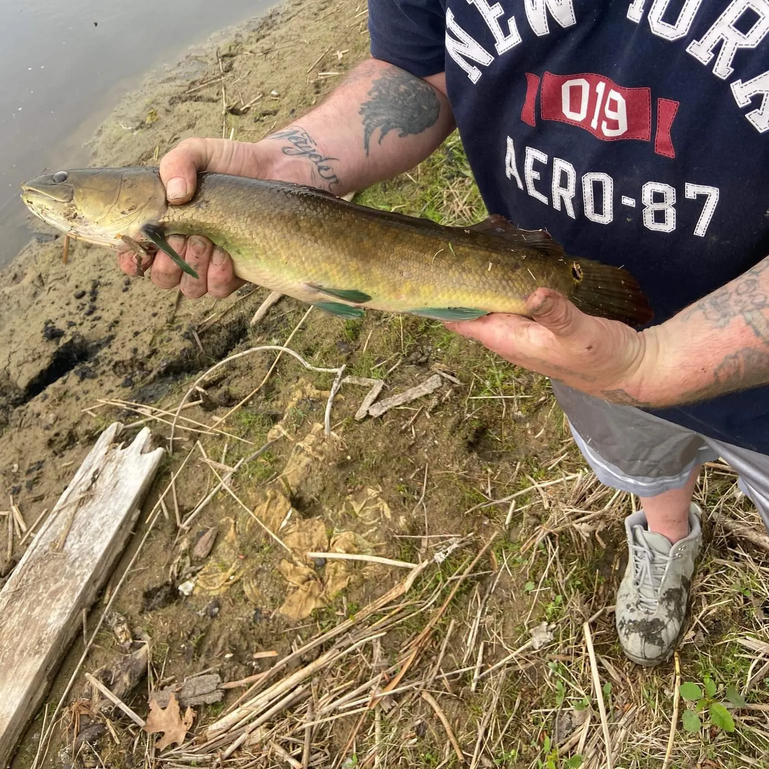 Eyetail bowfin caught on Fishbrain