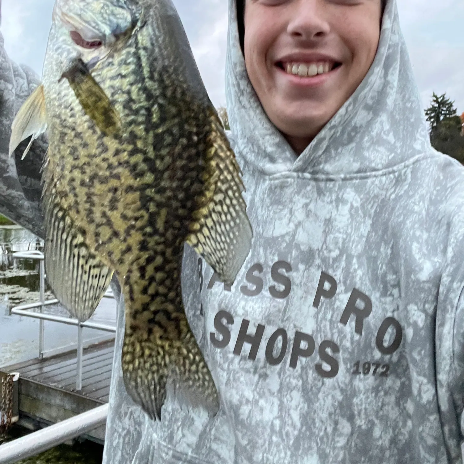 Black crappie caught on Fishbrain