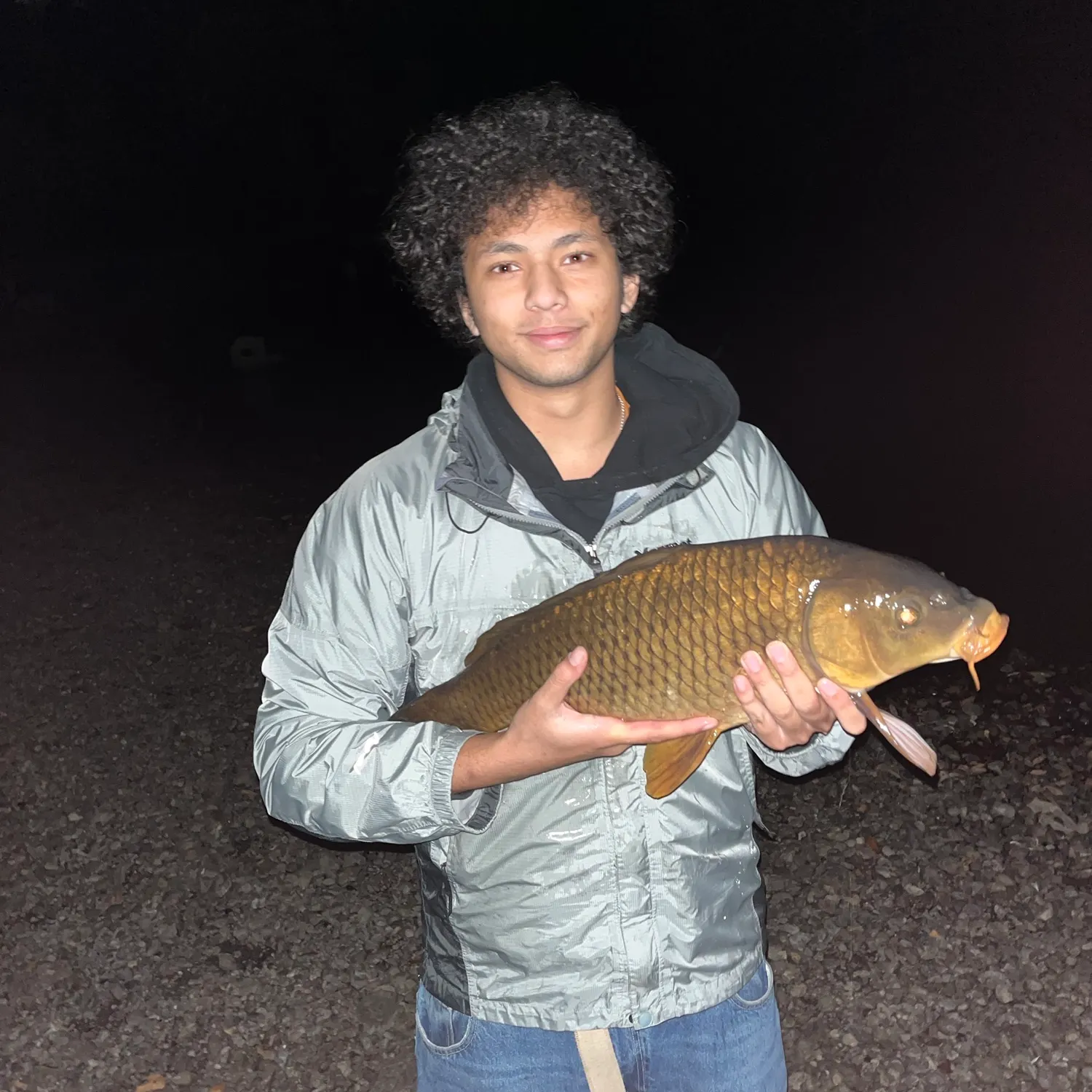Common carp caught on Fishbrain