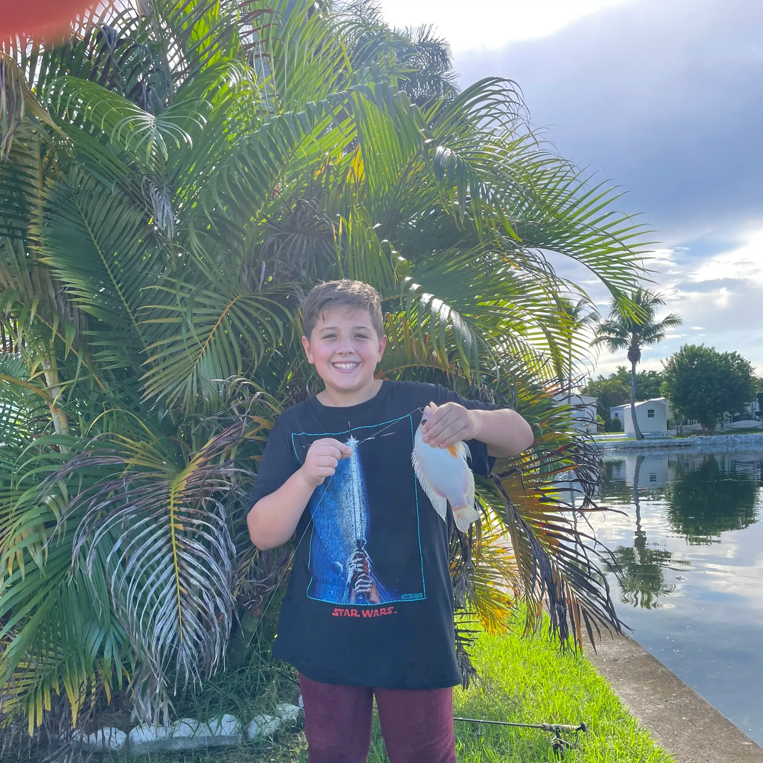 The most recent Mayan cichlid catches on Fishbrain
