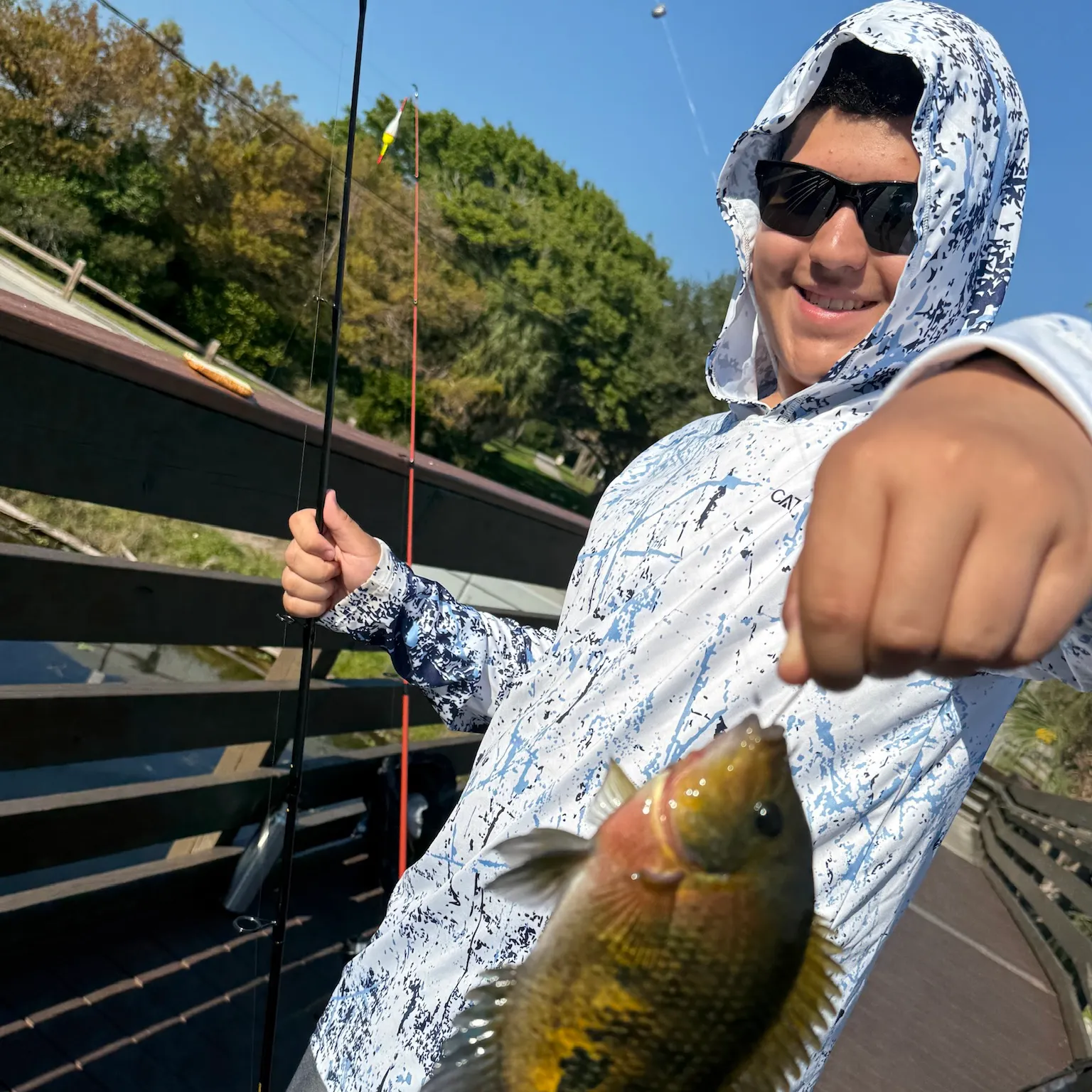 The most recent Mayan cichlid catches on Fishbrain