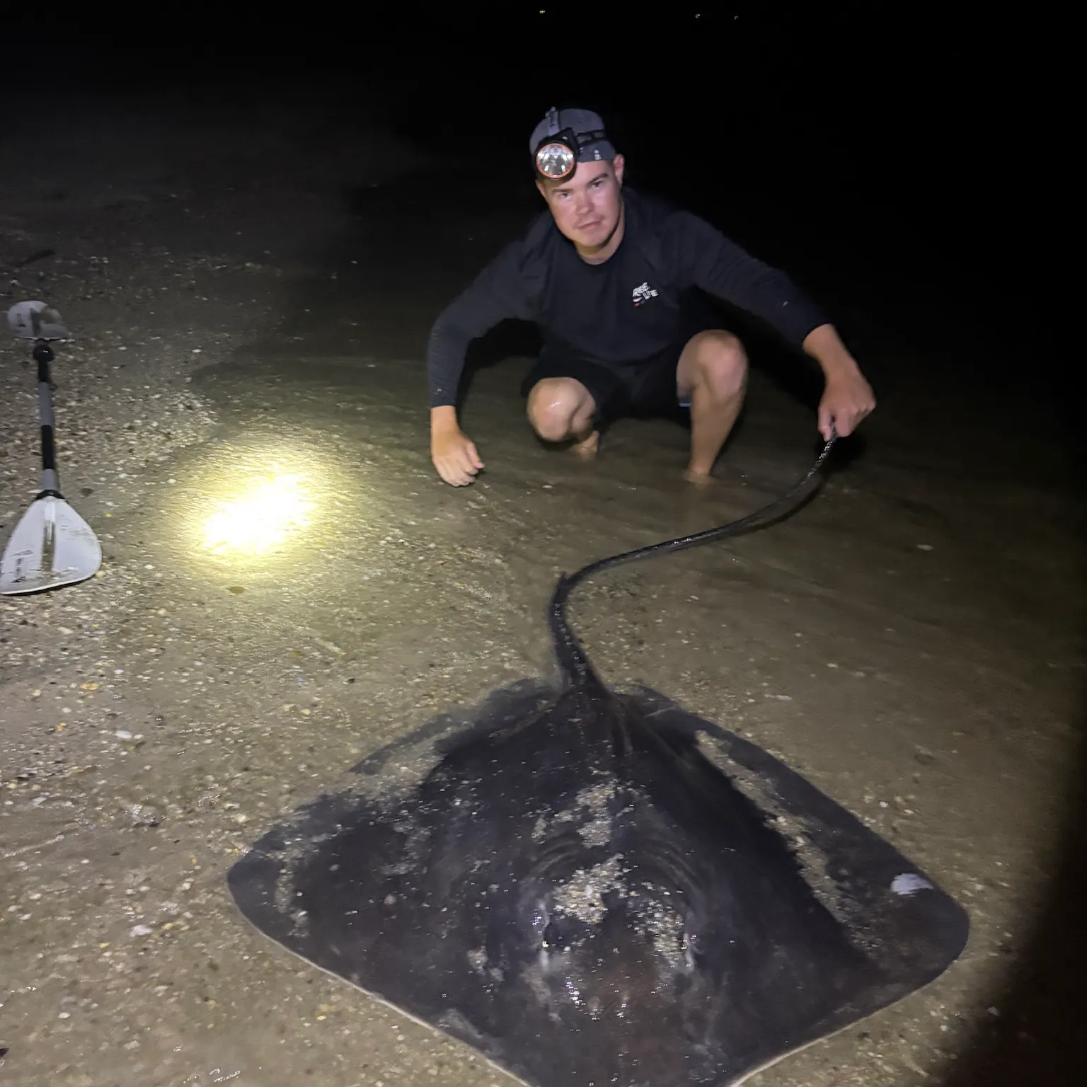 The most recent Roughtail stingray catches on Fishbrain
