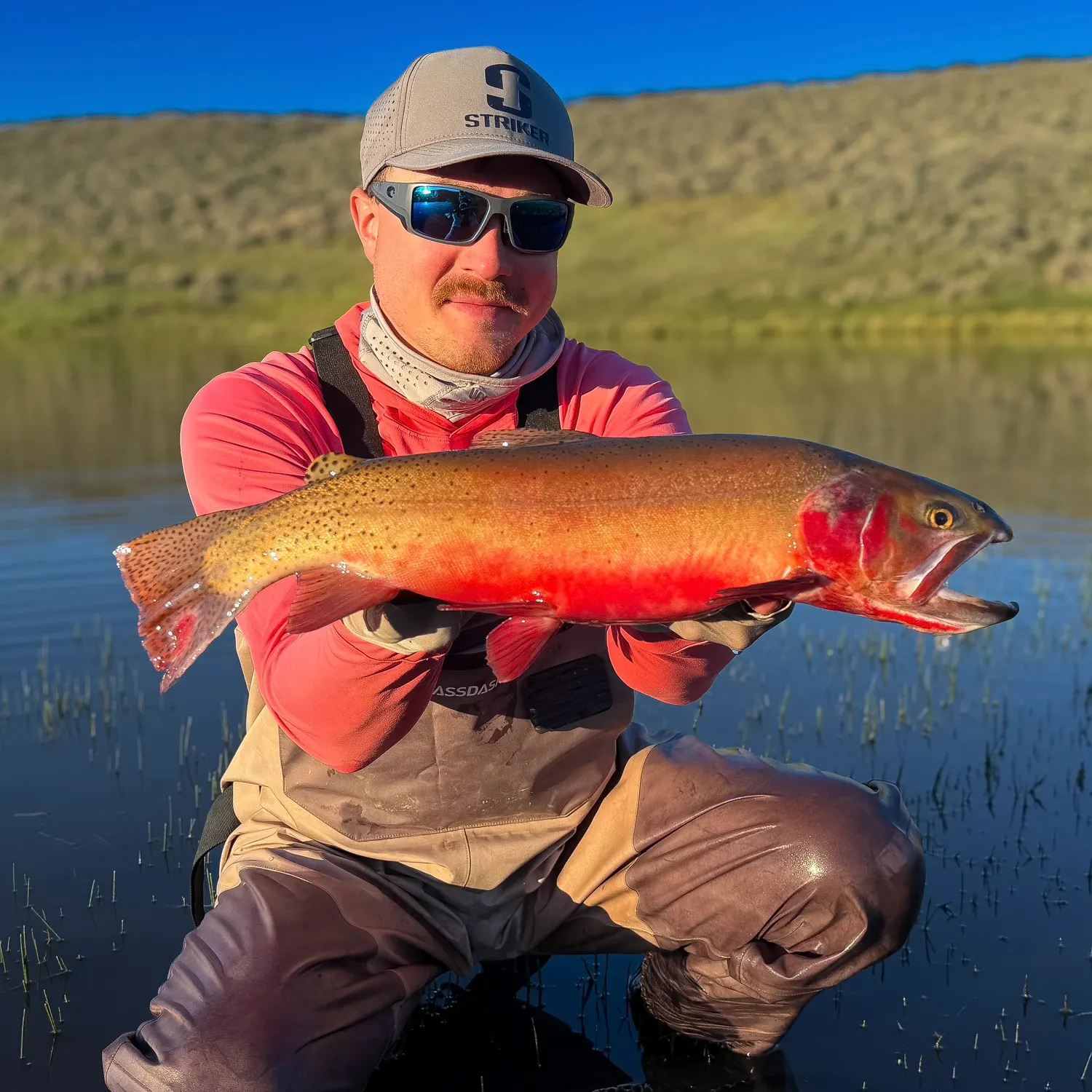The most recent Colorado river cutthroat trout catches on Fishbrain